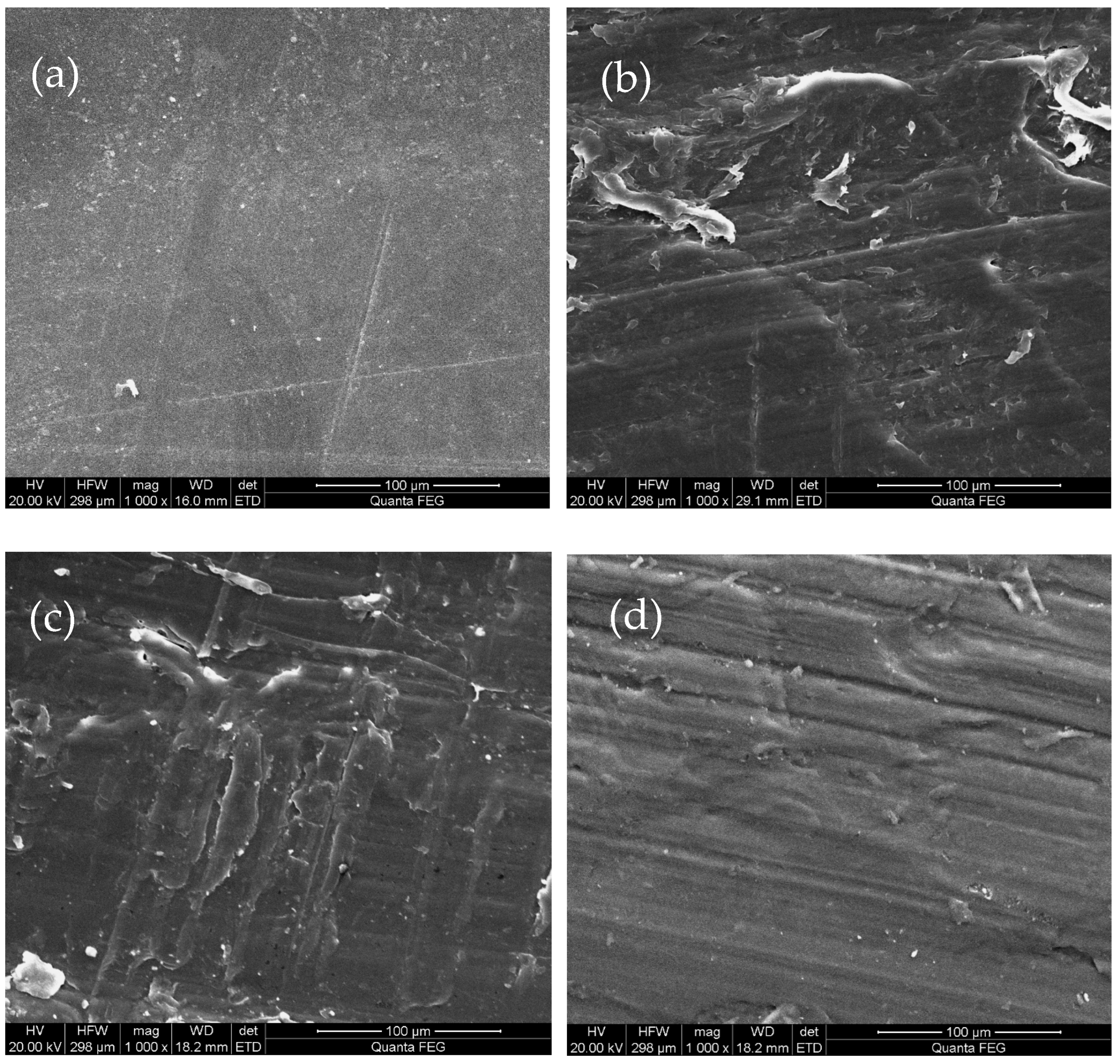 Coatings 15 00360 g019