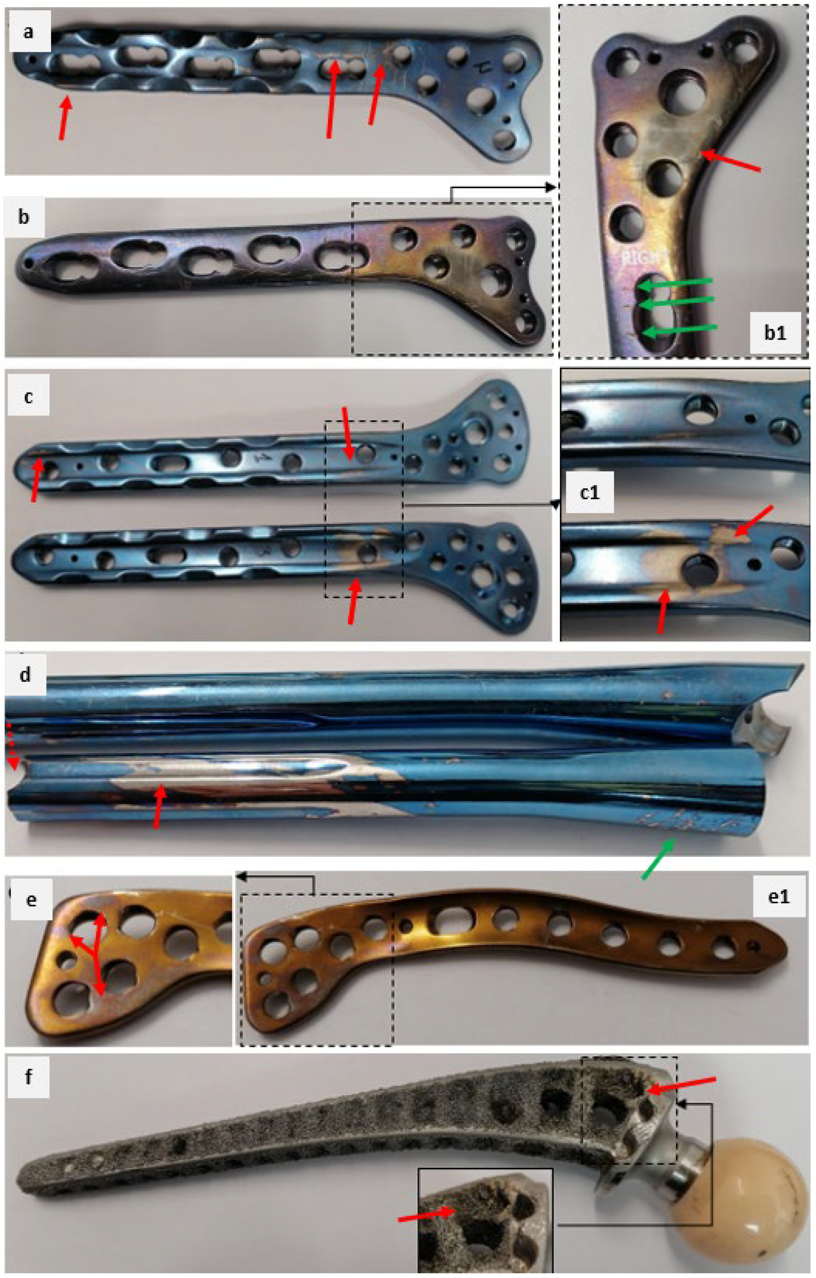 Coatings 15 00361 g005