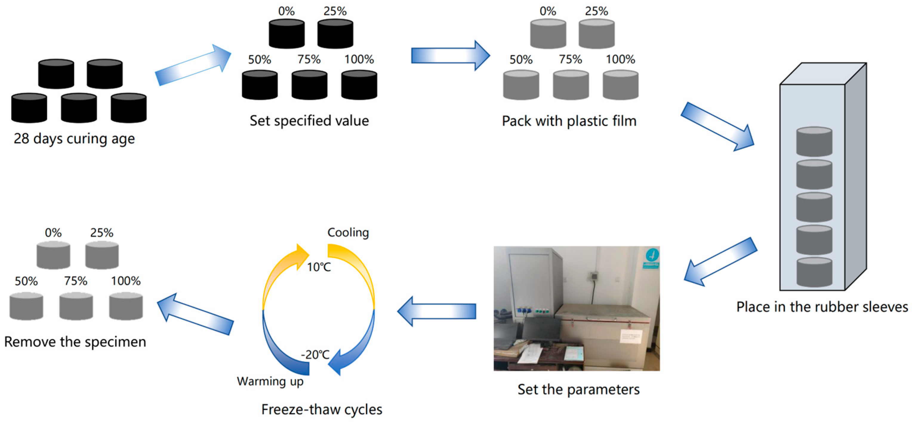 Coatings 15 00369 g006