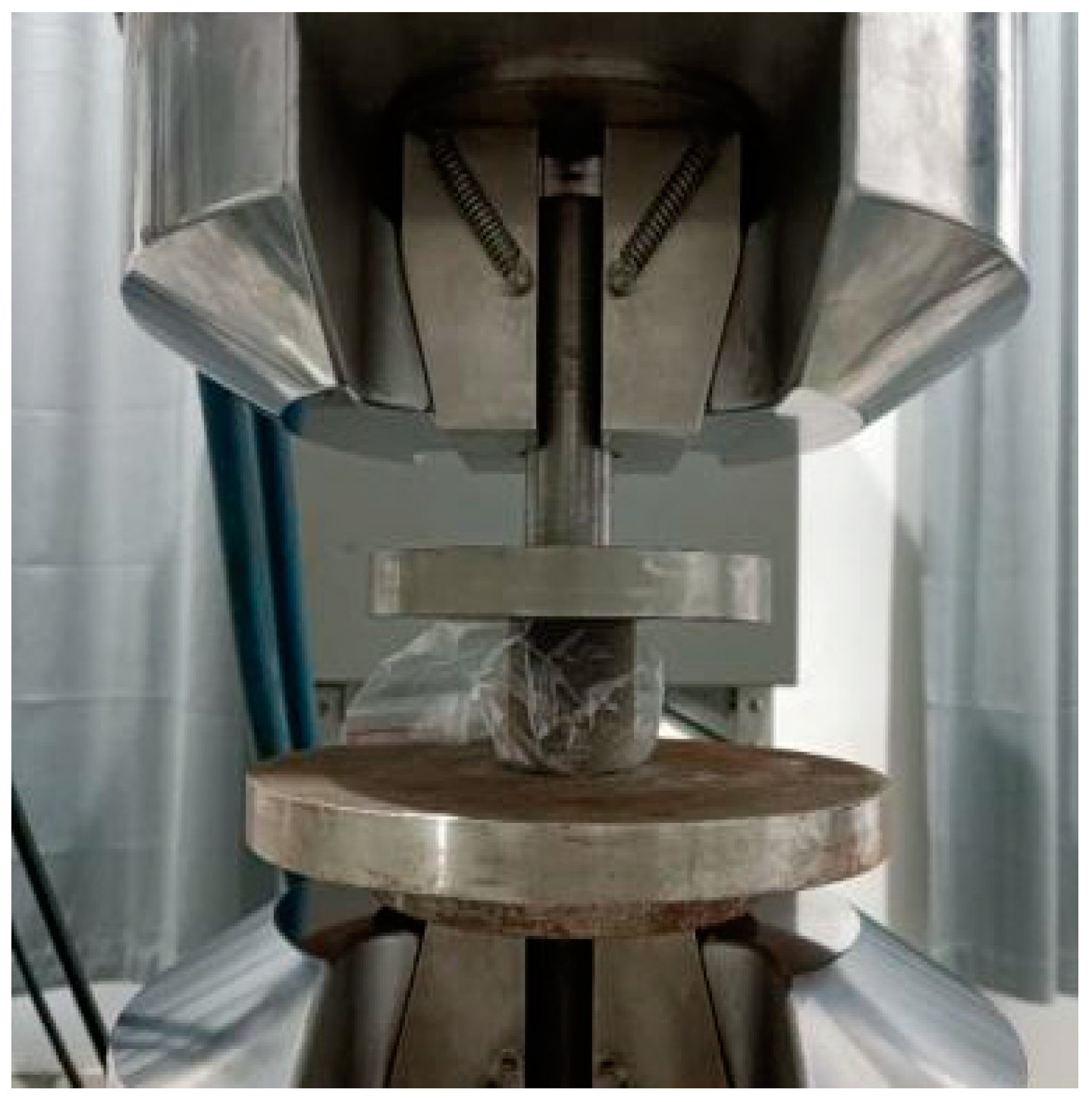 Coatings 15 00369 g008