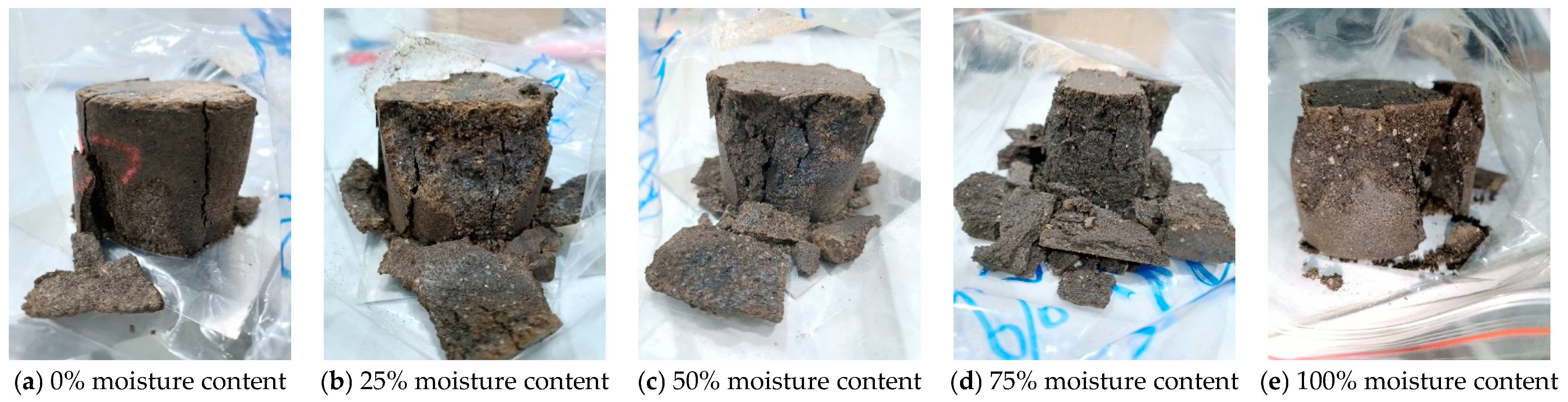 Coatings 15 00369 g018