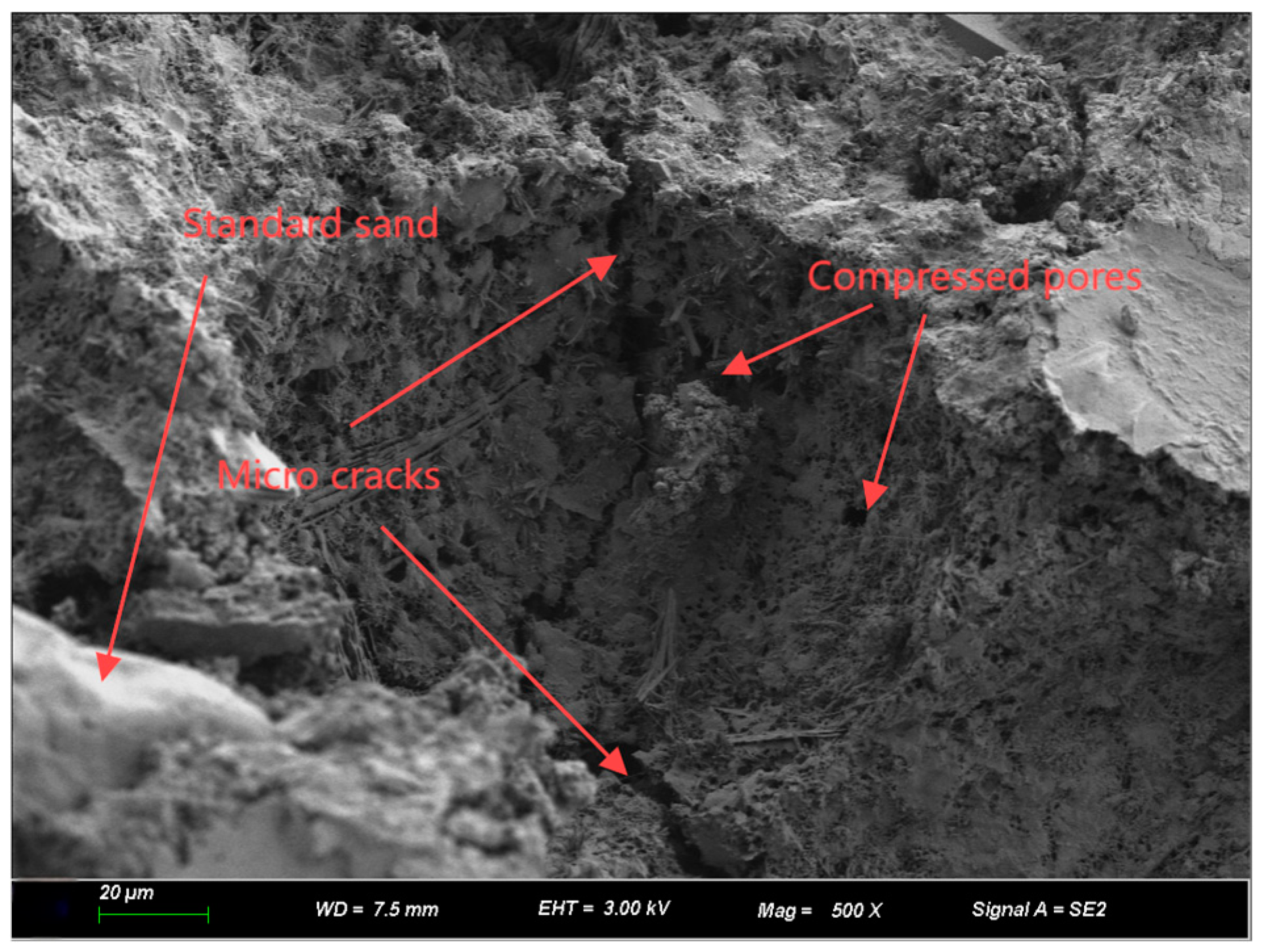 Coatings 15 00369 g020