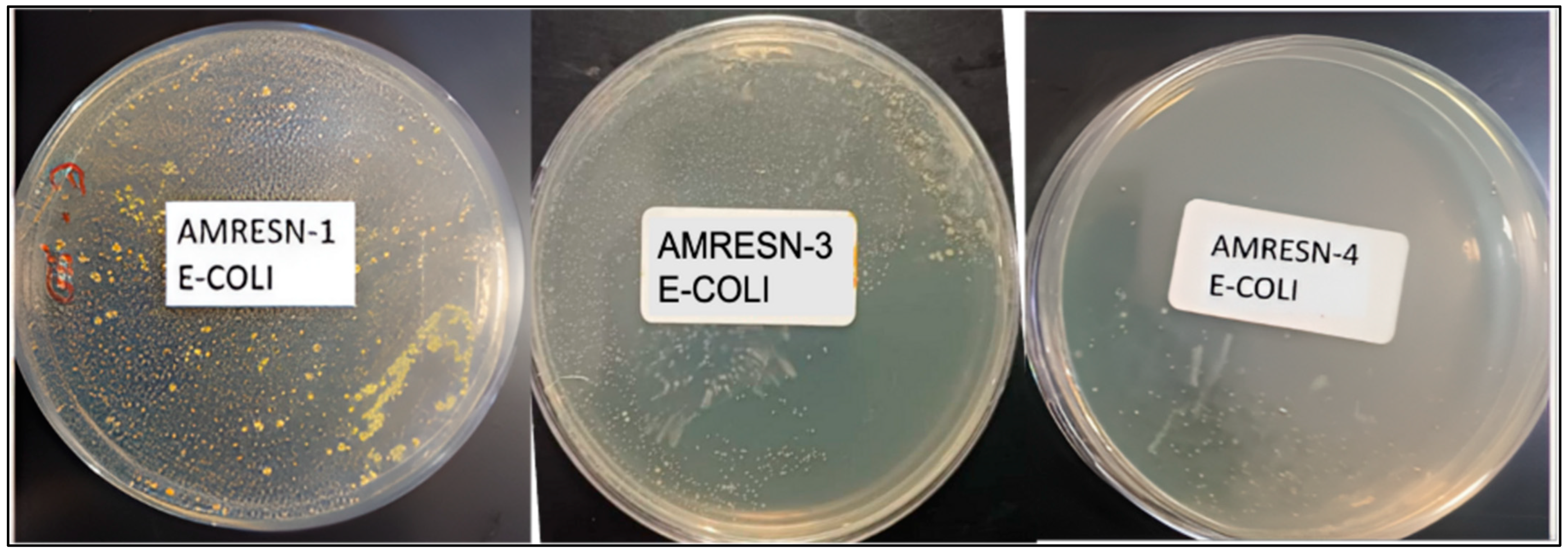 Coatings 15 00370 g015