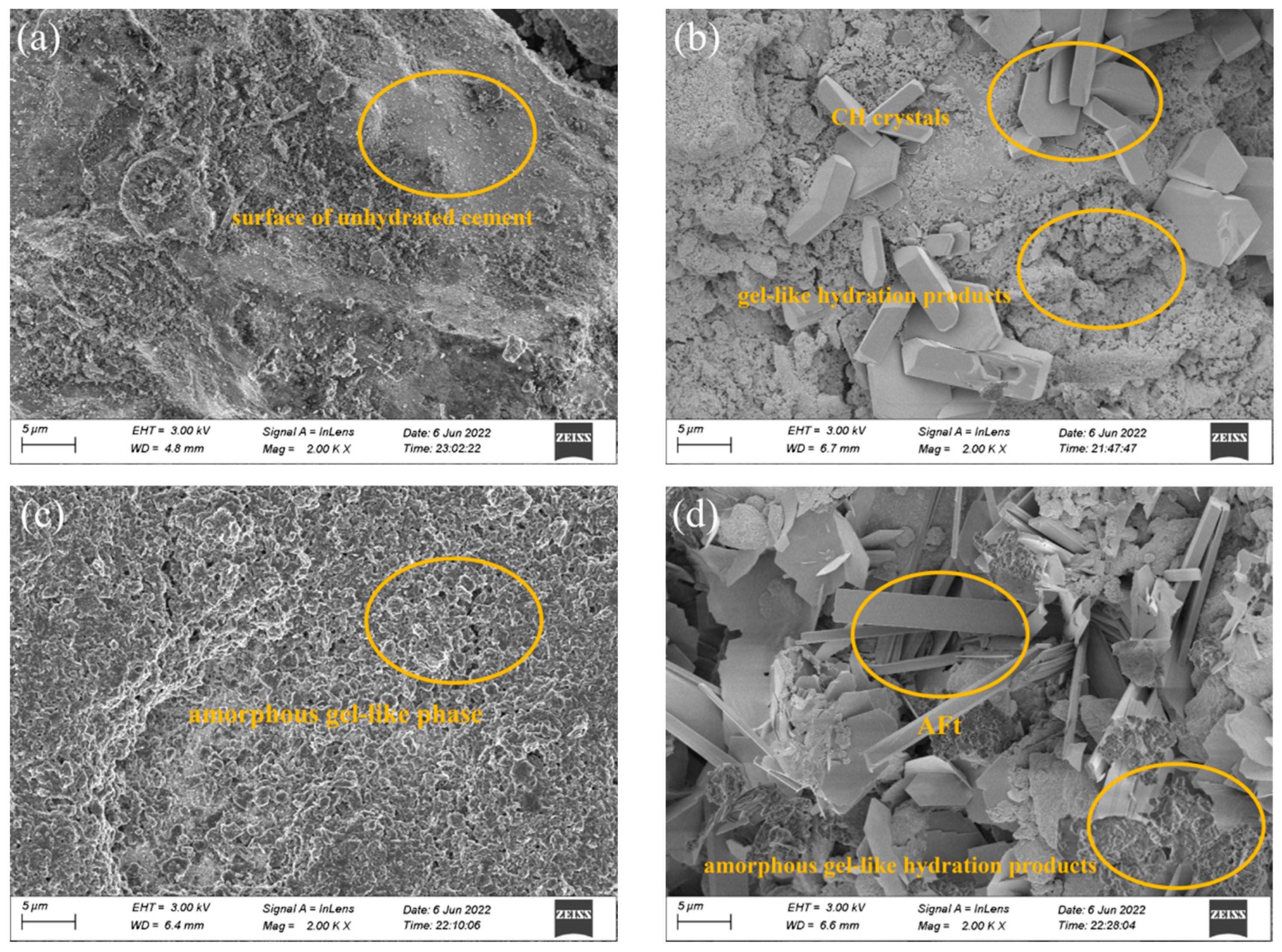 Coatings 15 00371 g008