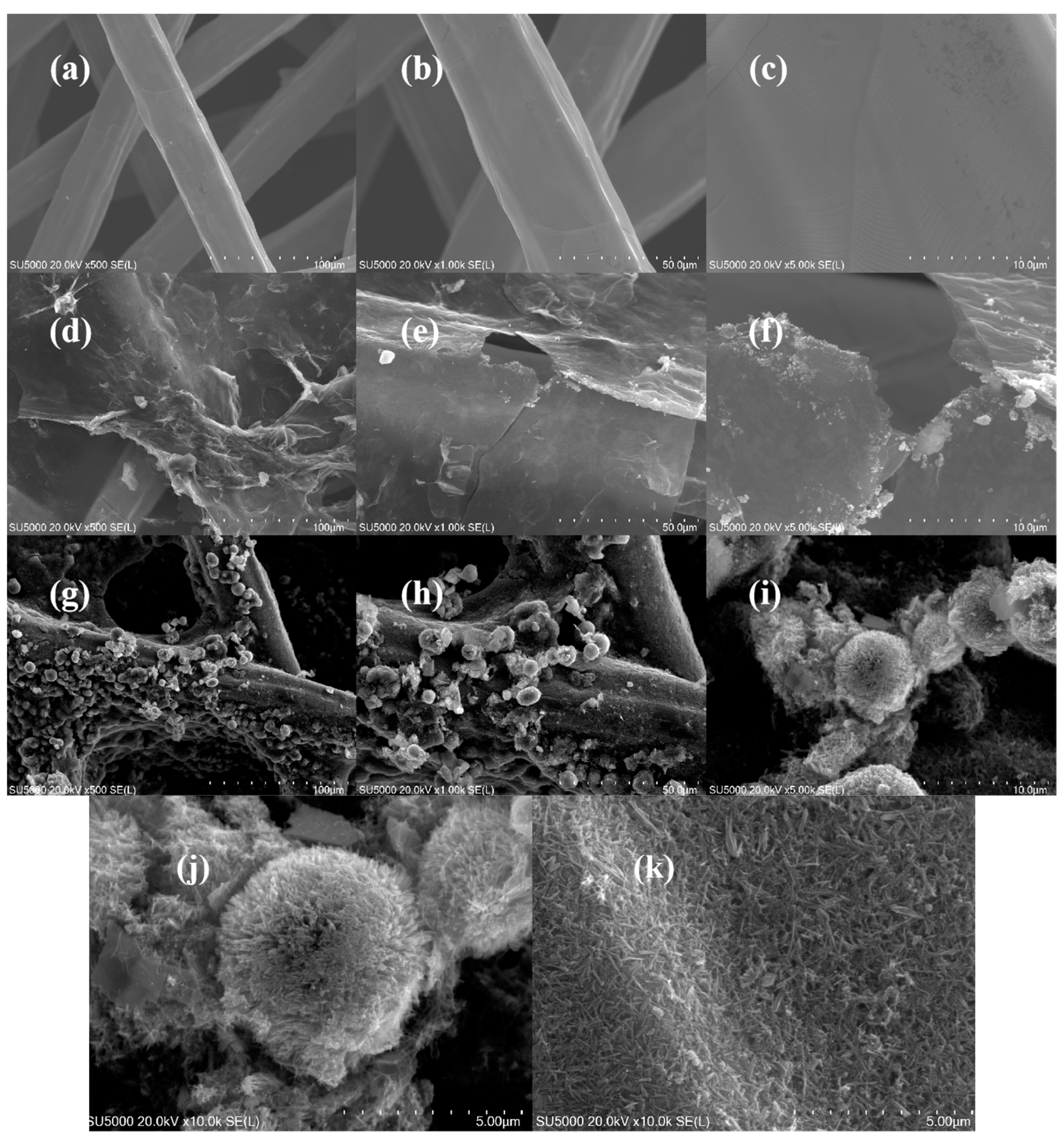 Coatings 15 00373 g001