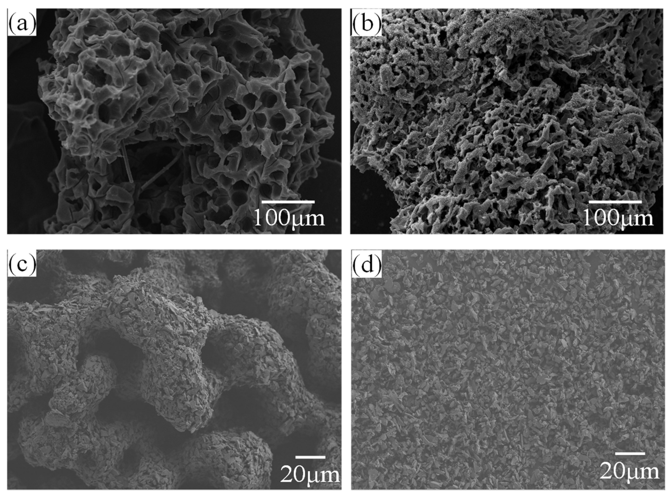 Coatings 15 00376 g008