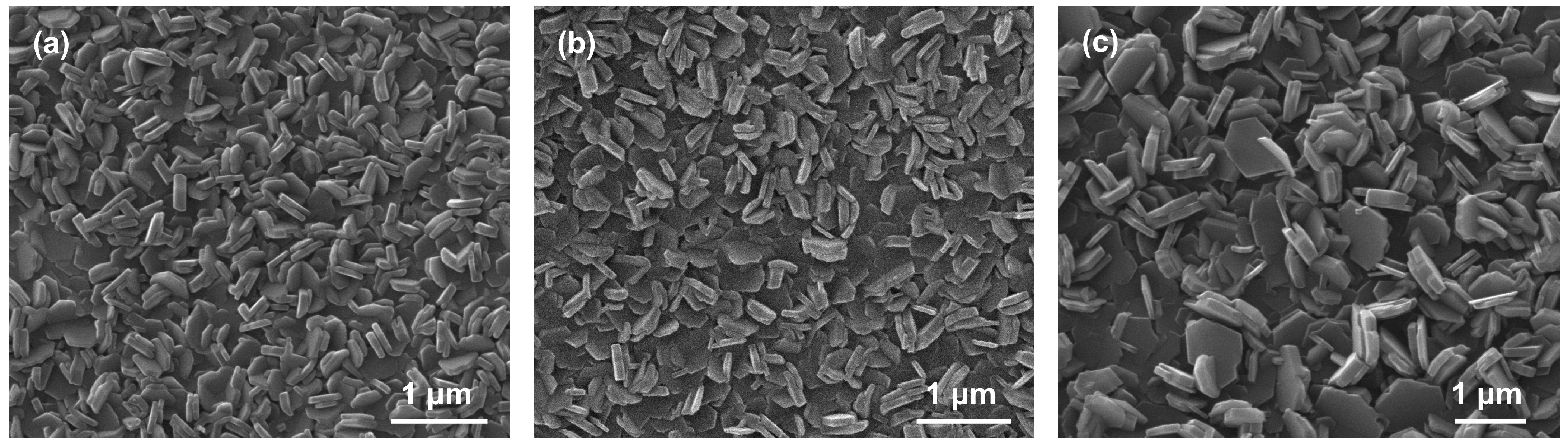Coatings 15 00377 g001