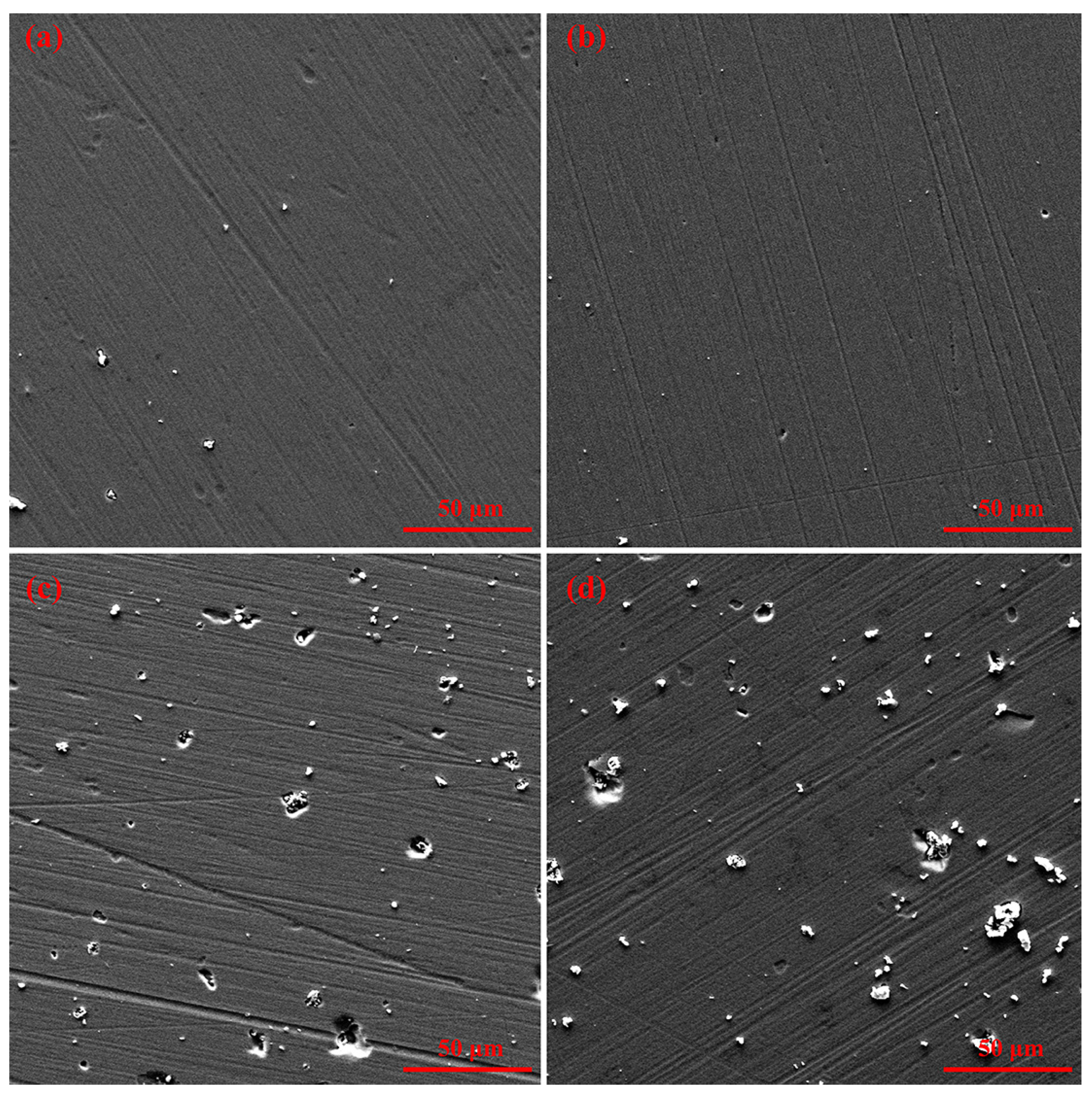 Coatings 15 00379 g001