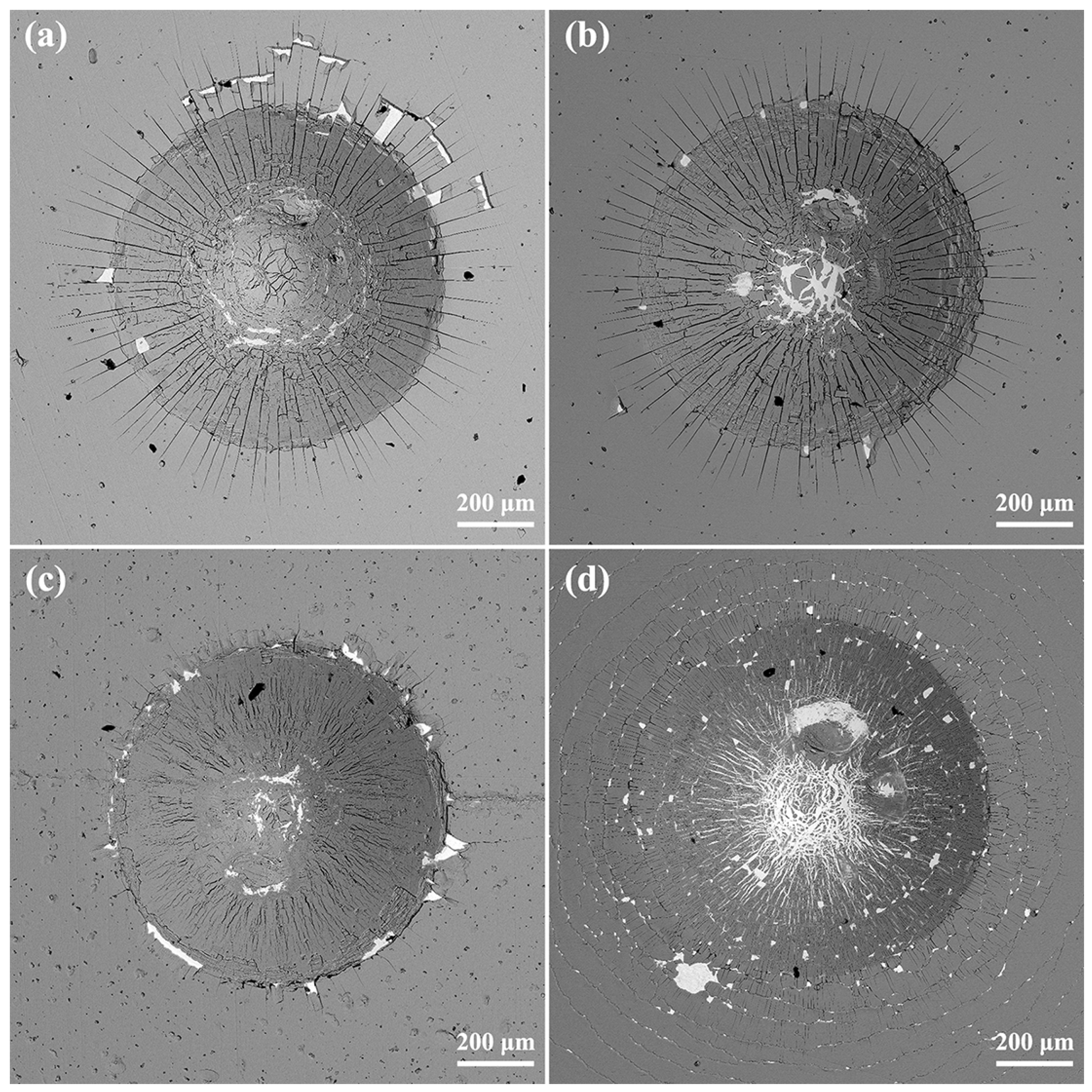 Coatings 15 00379 g008