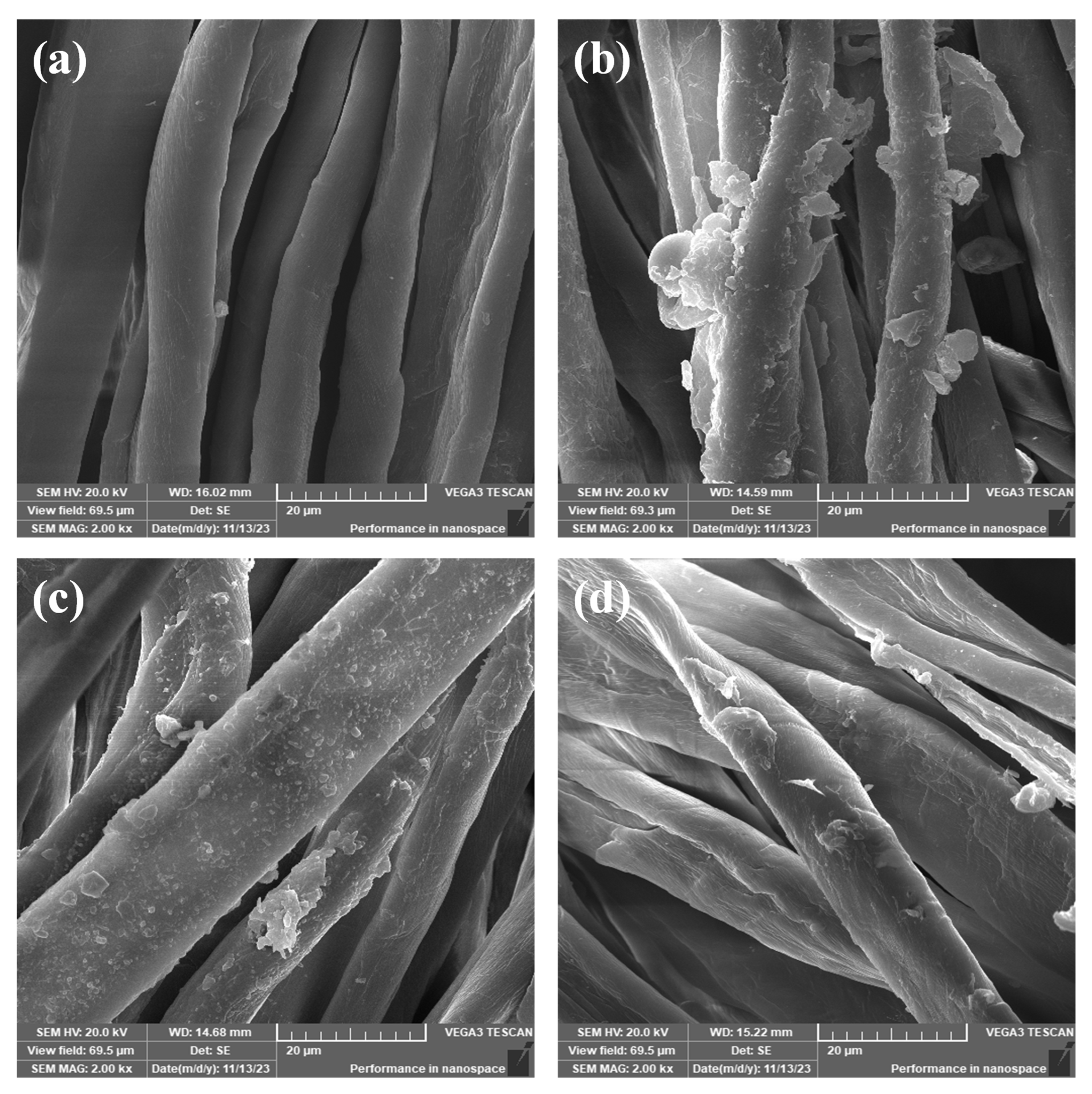 Coatings 15 00380 g004a