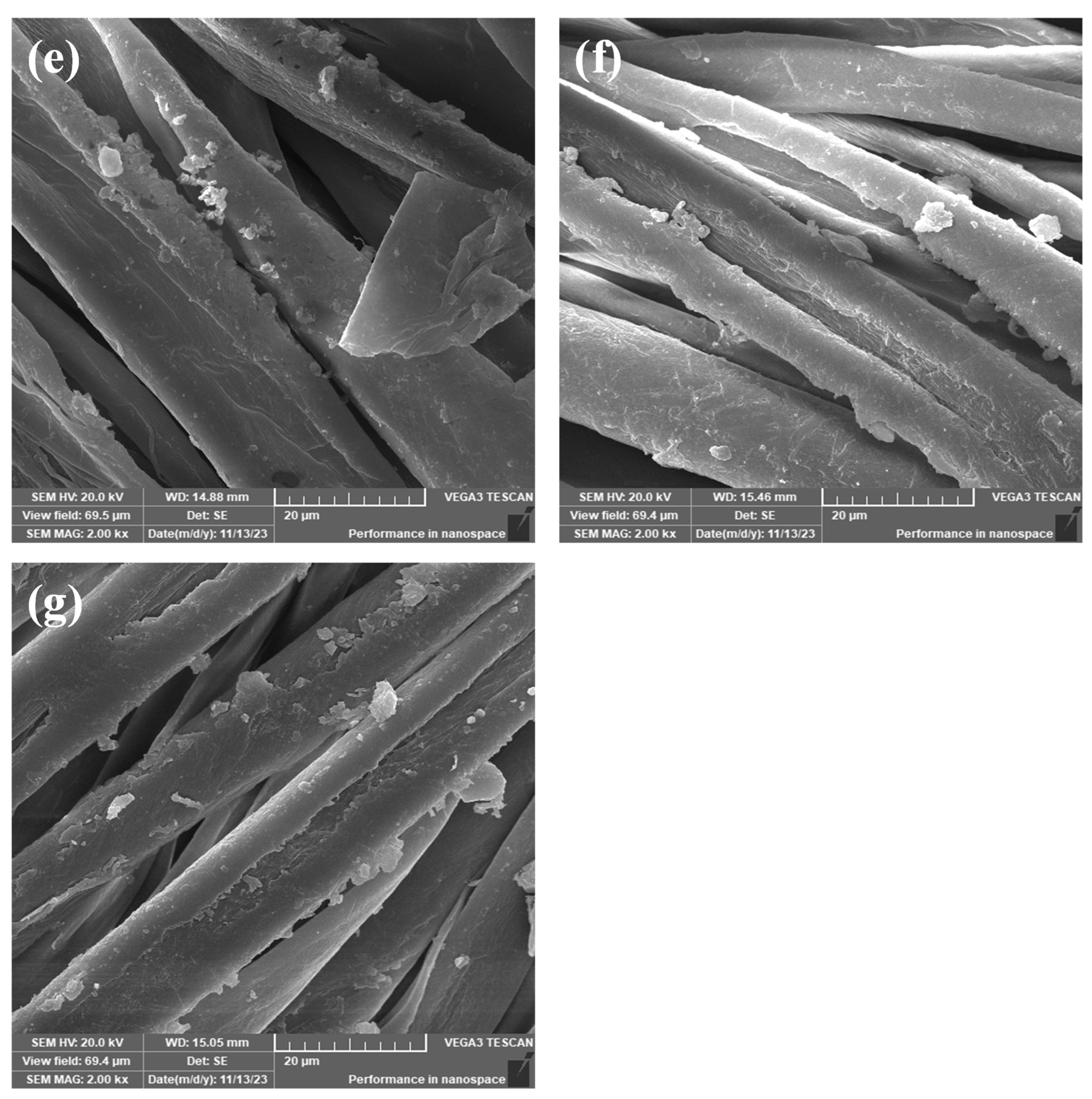 Coatings 15 00380 g004b