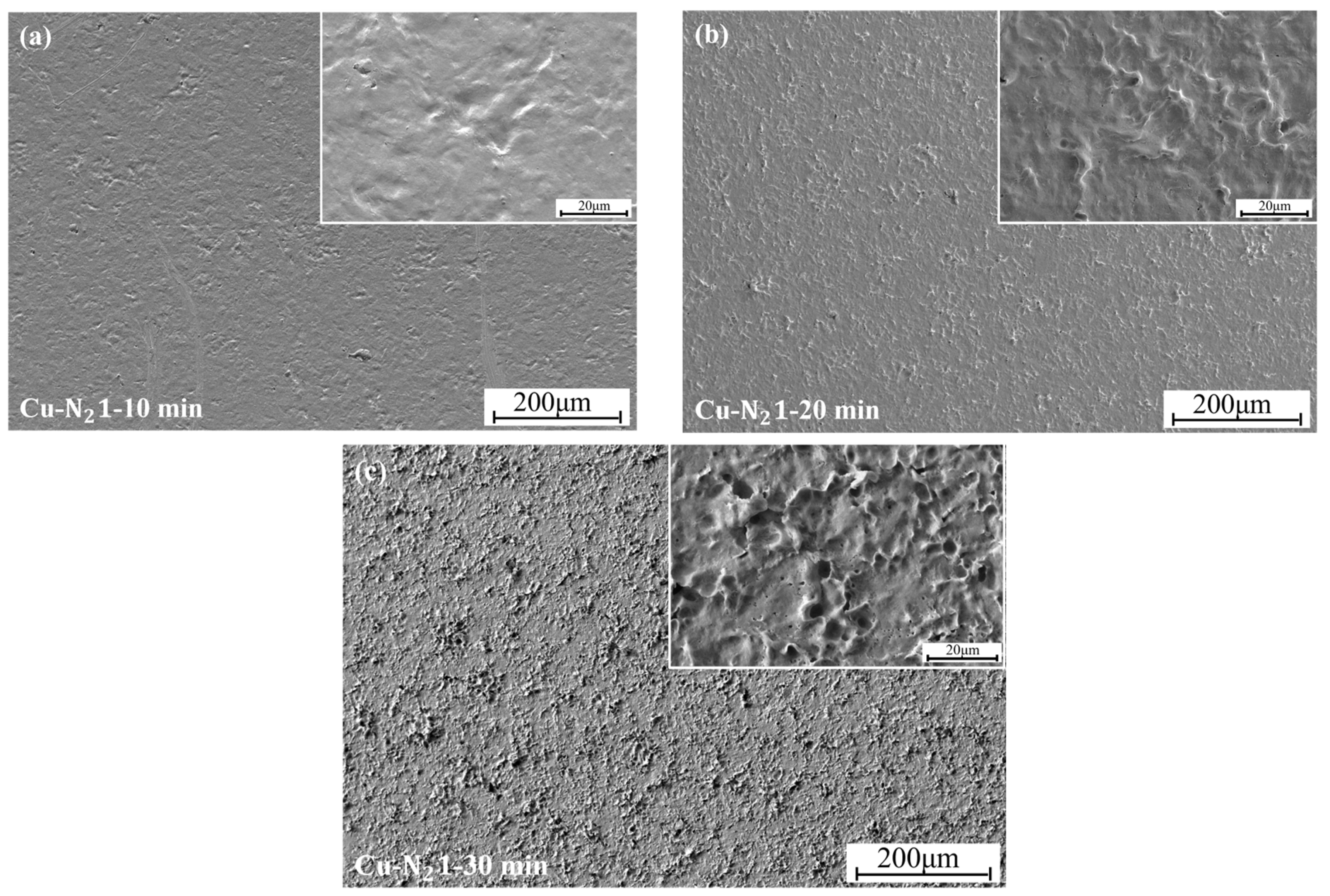 Coatings 15 00381 g007
