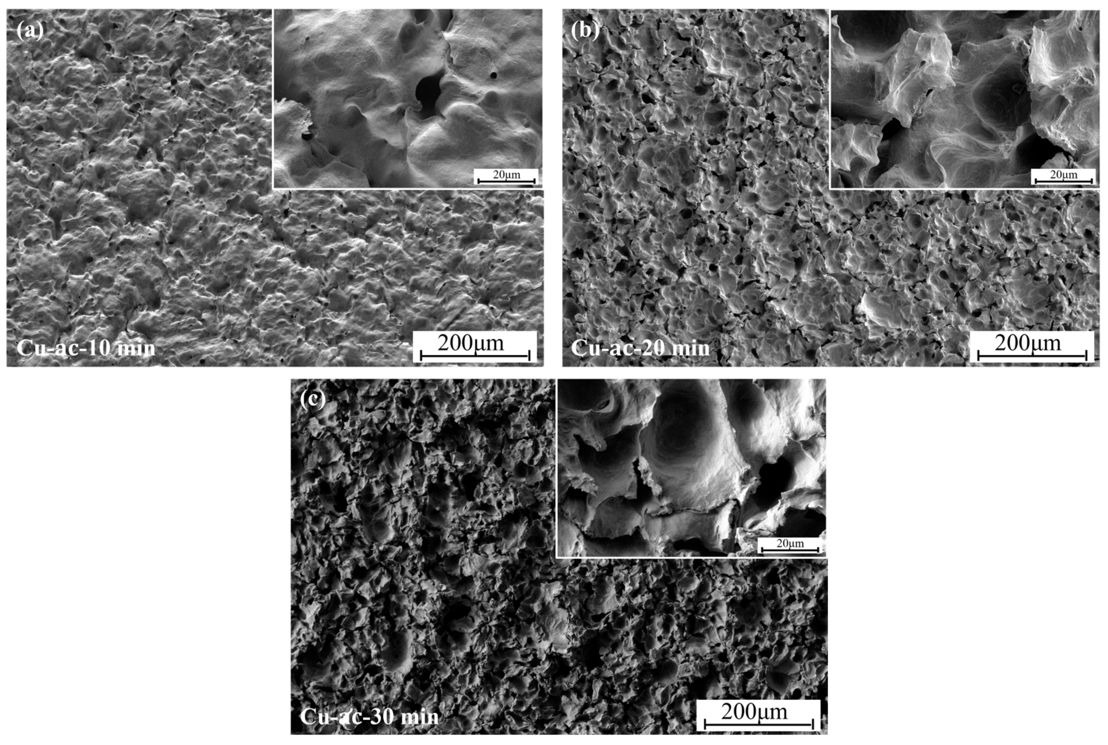 Coatings 15 00381 g008