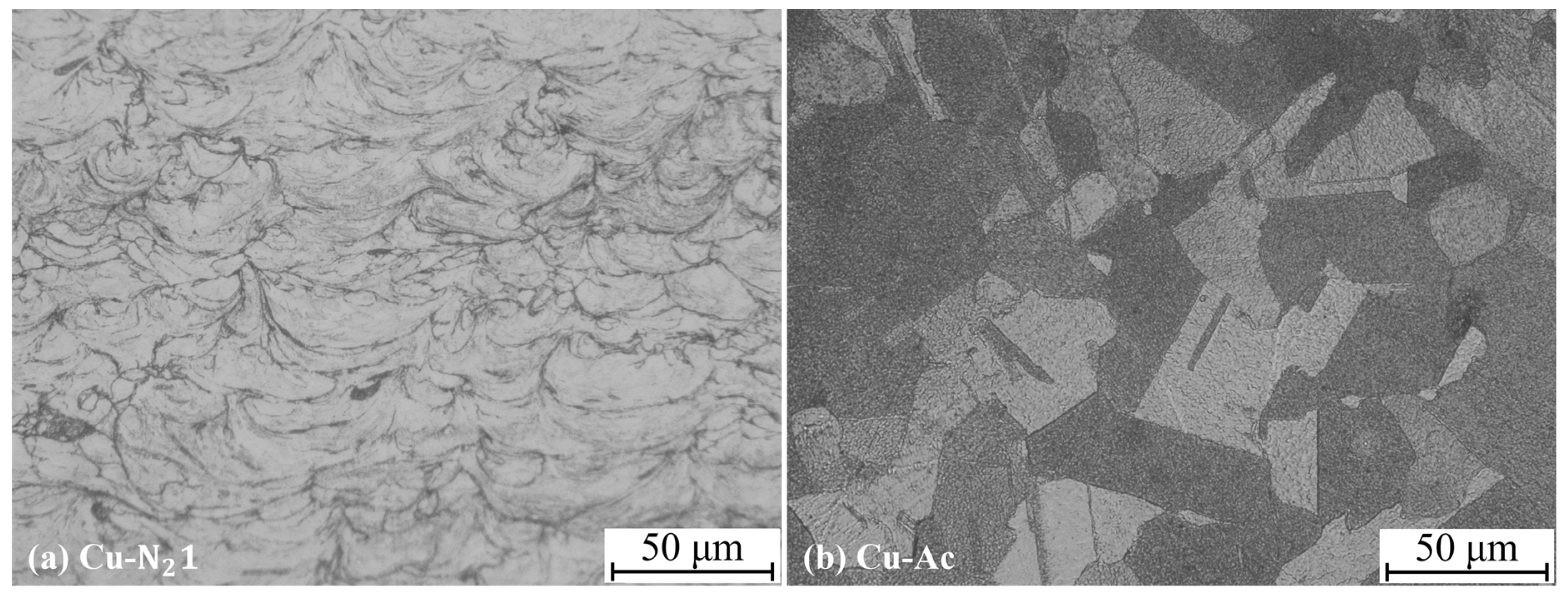 Coatings 15 00381 g012