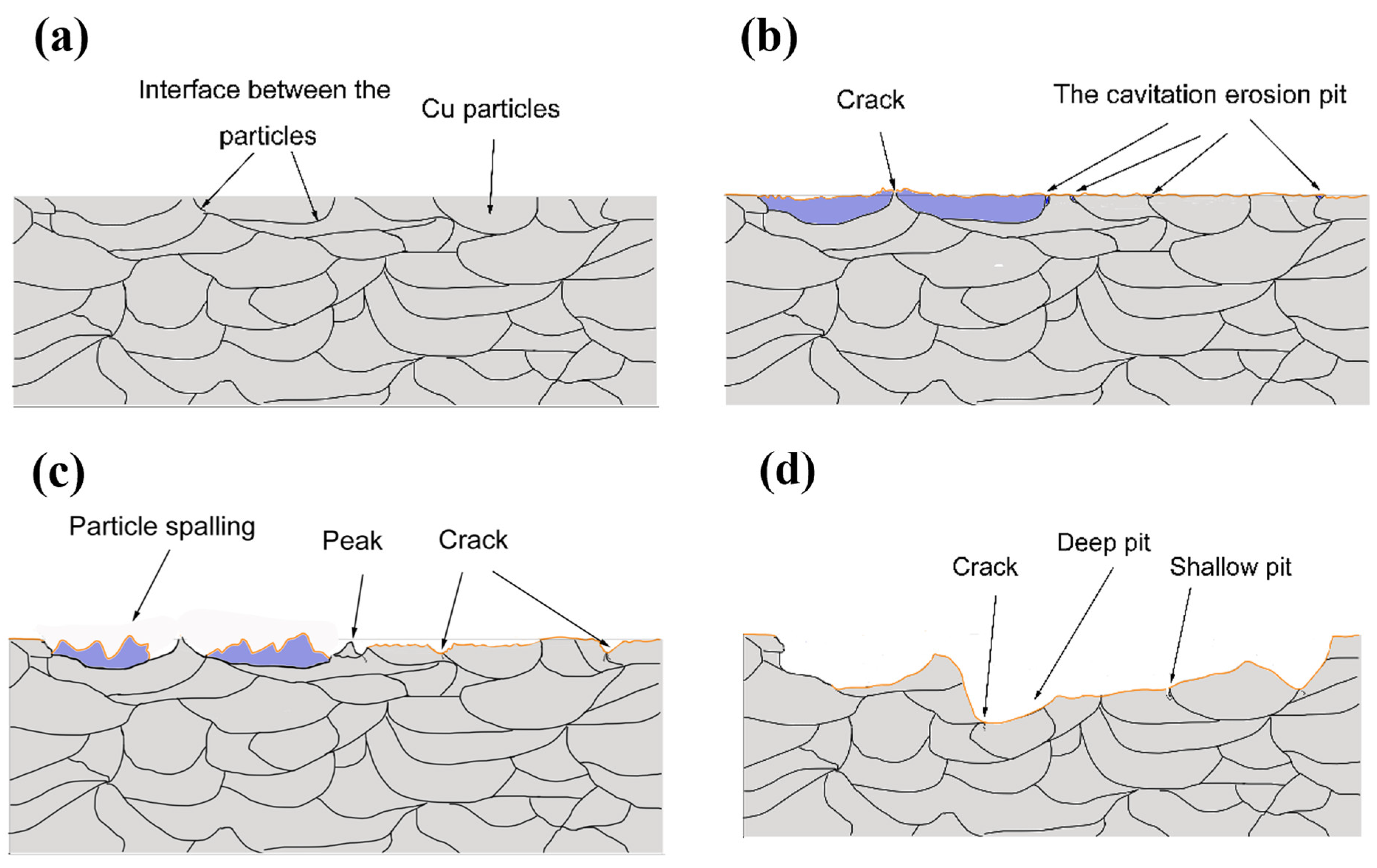 Coatings 15 00381 g013