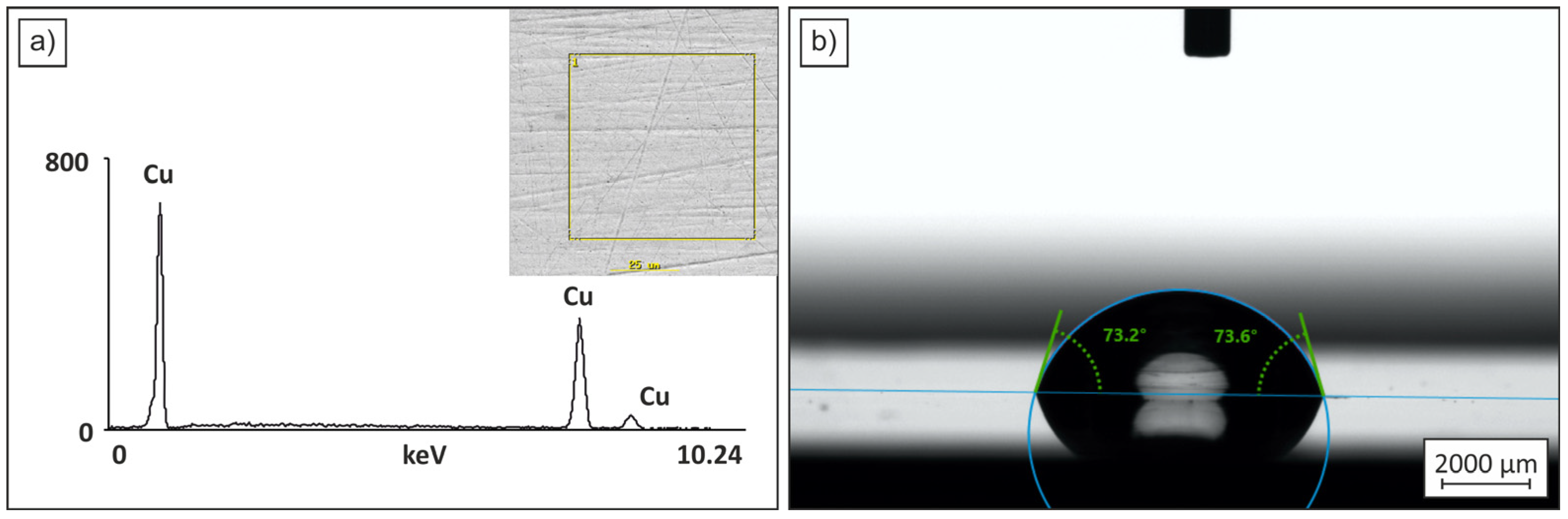Coatings 15 00383 g001