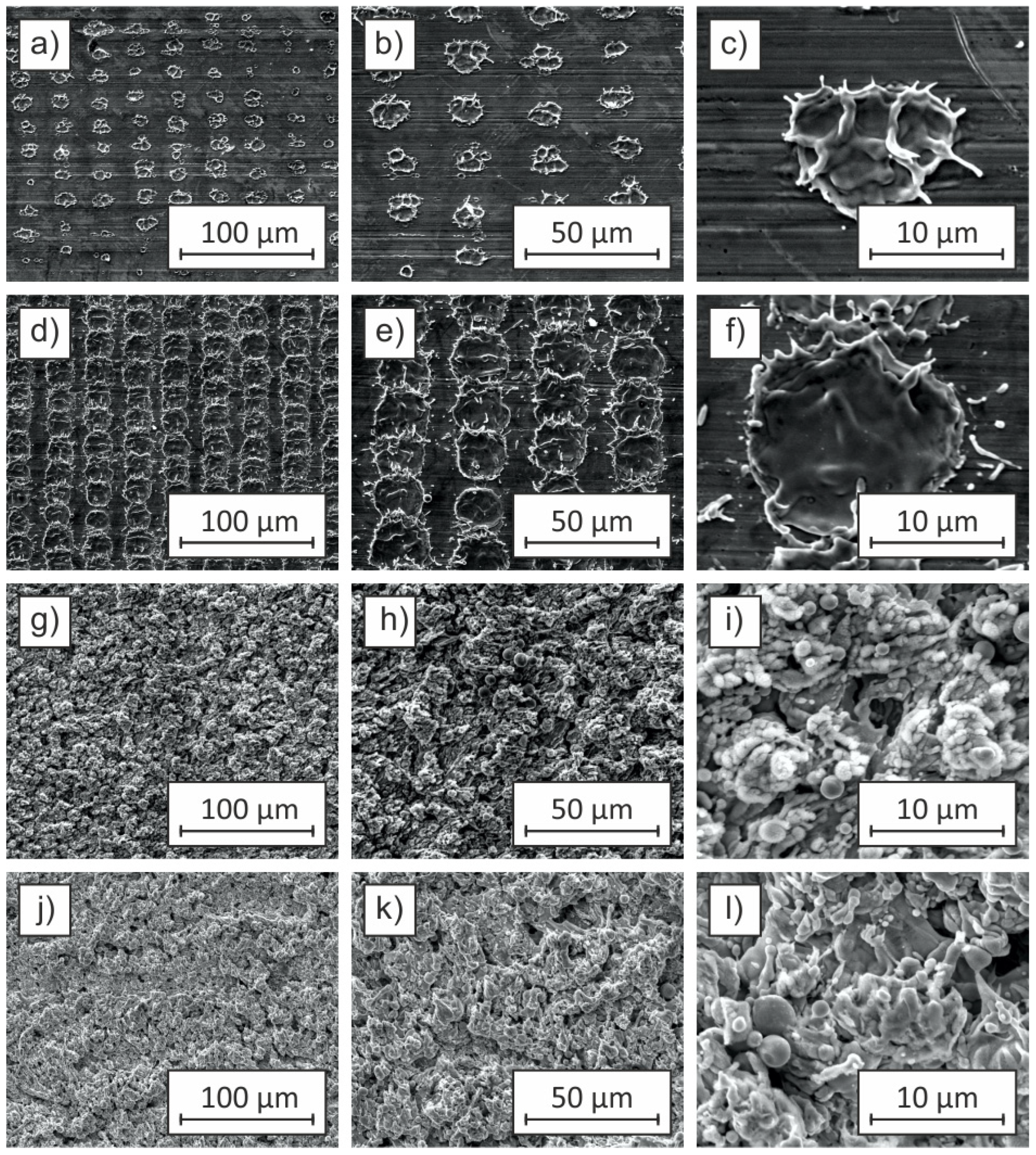 Coatings 15 00383 g005
