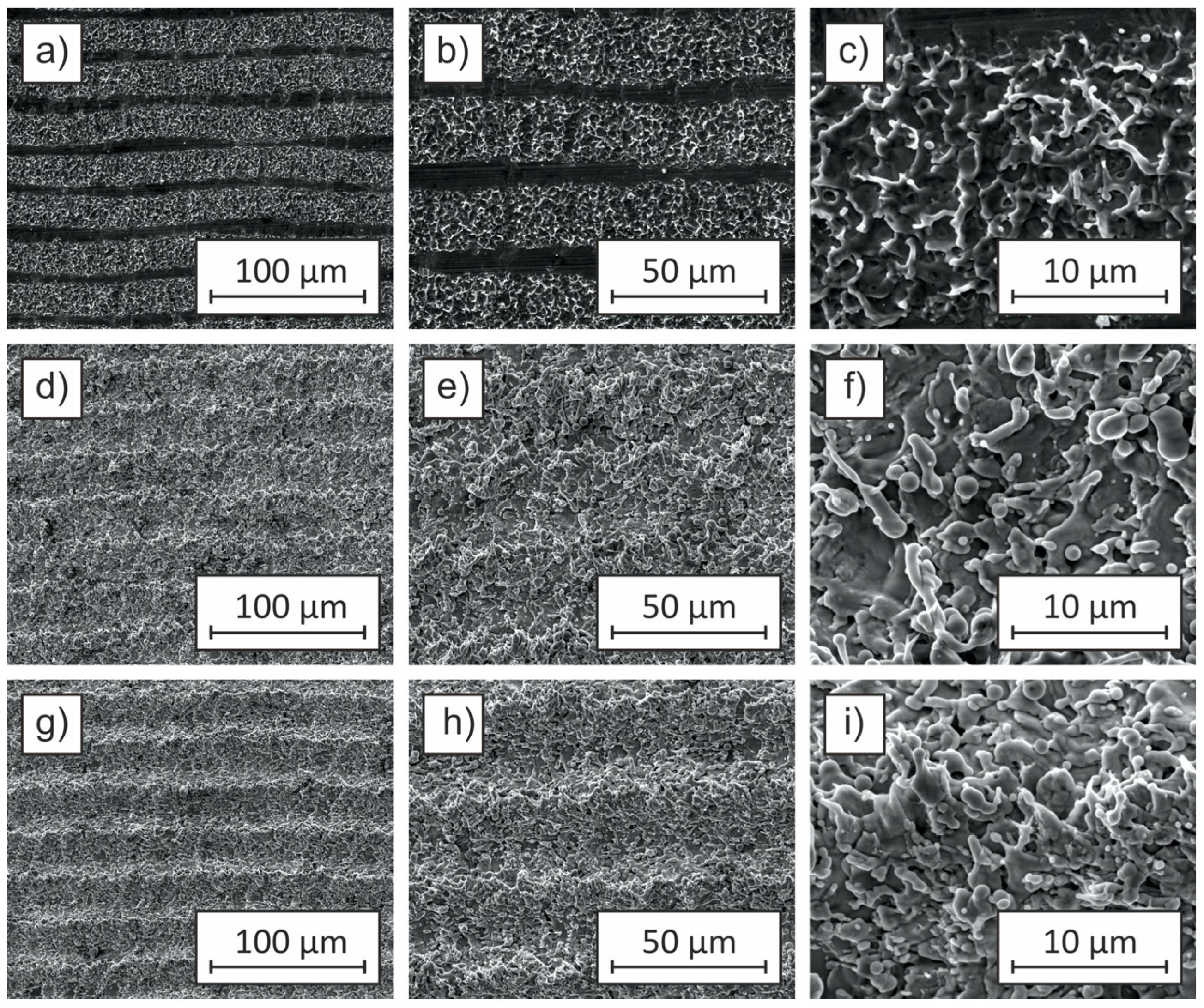 Coatings 15 00383 g006