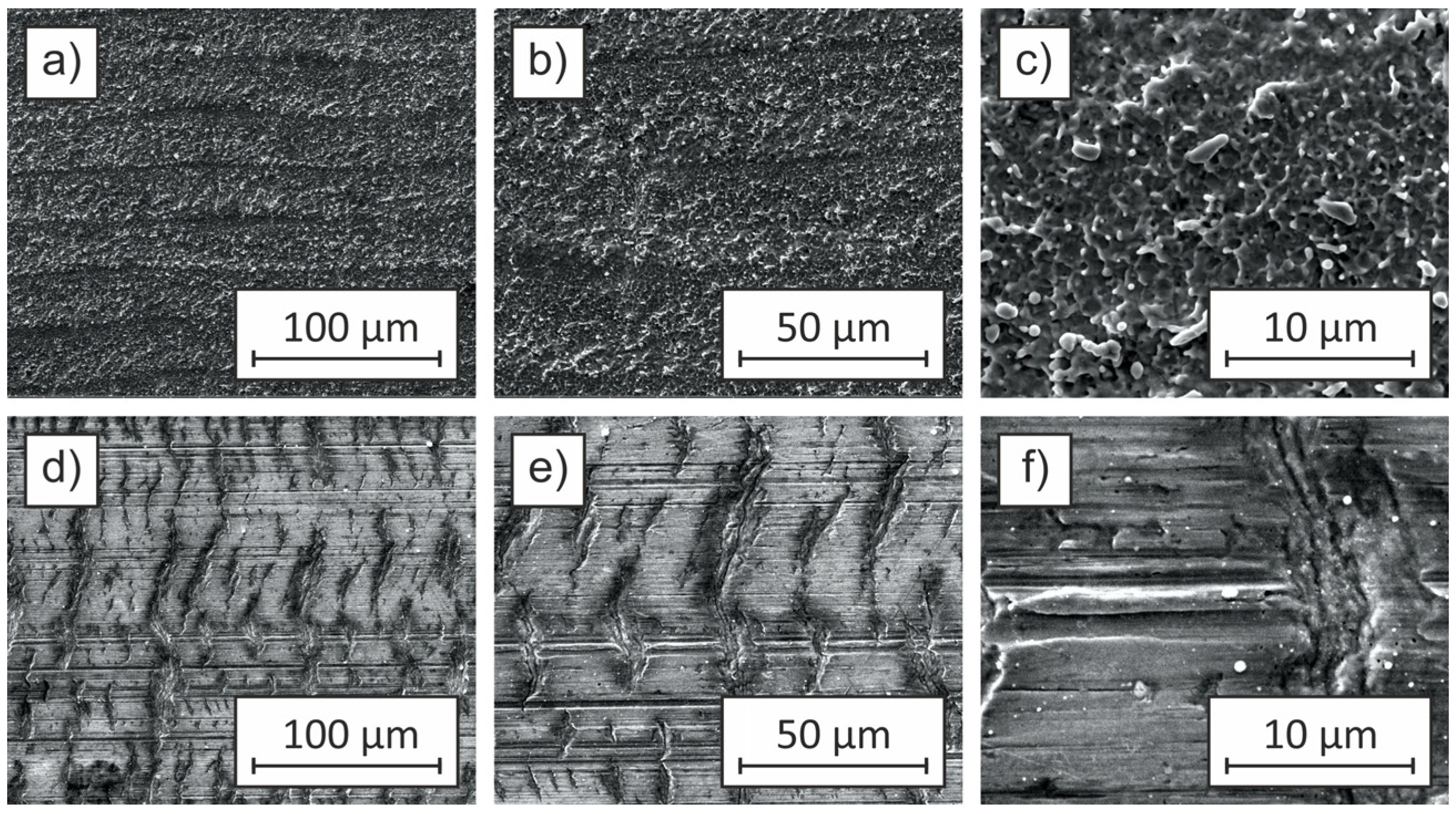 Coatings 15 00383 g007