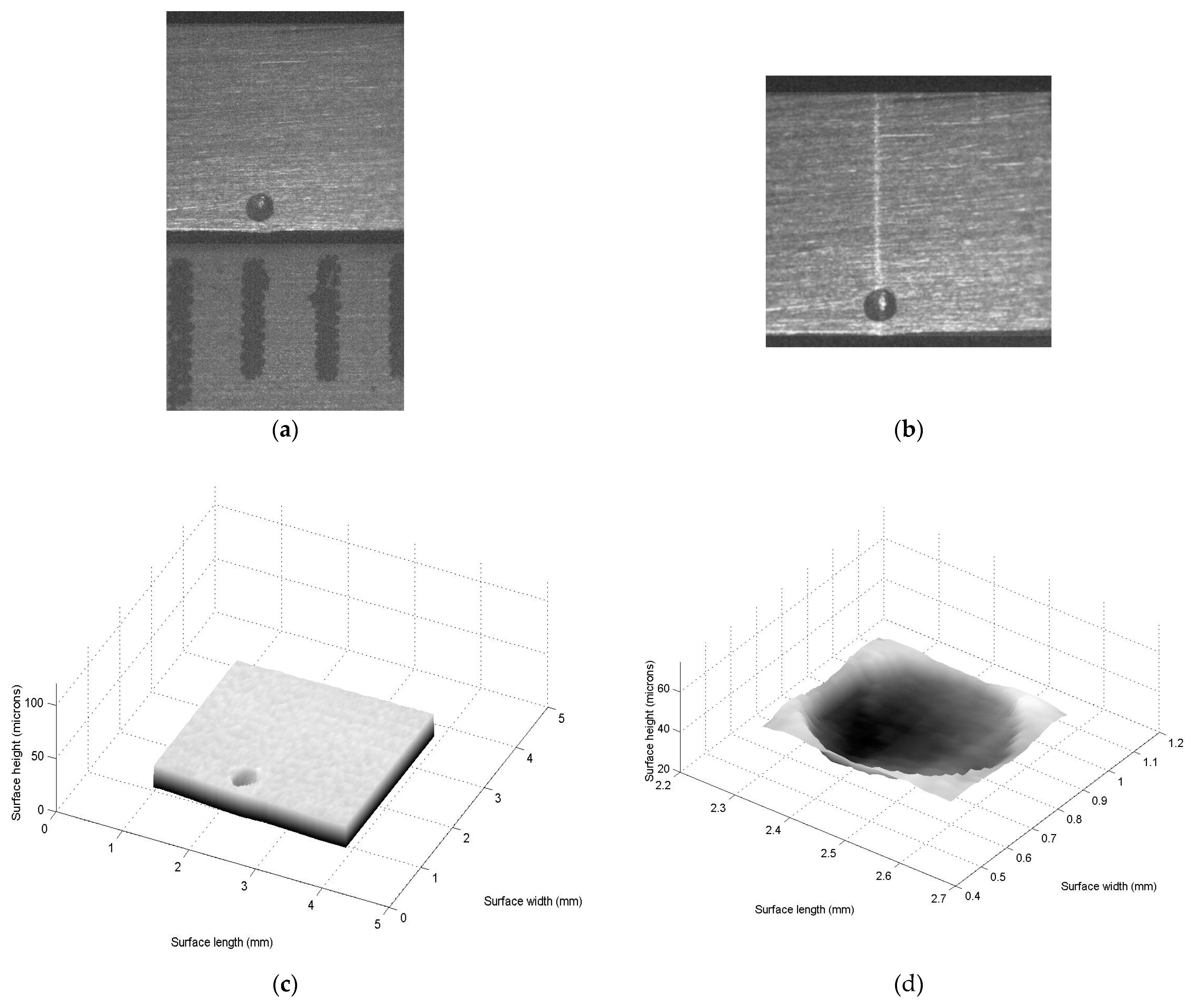 Coatings 15 00385 g006