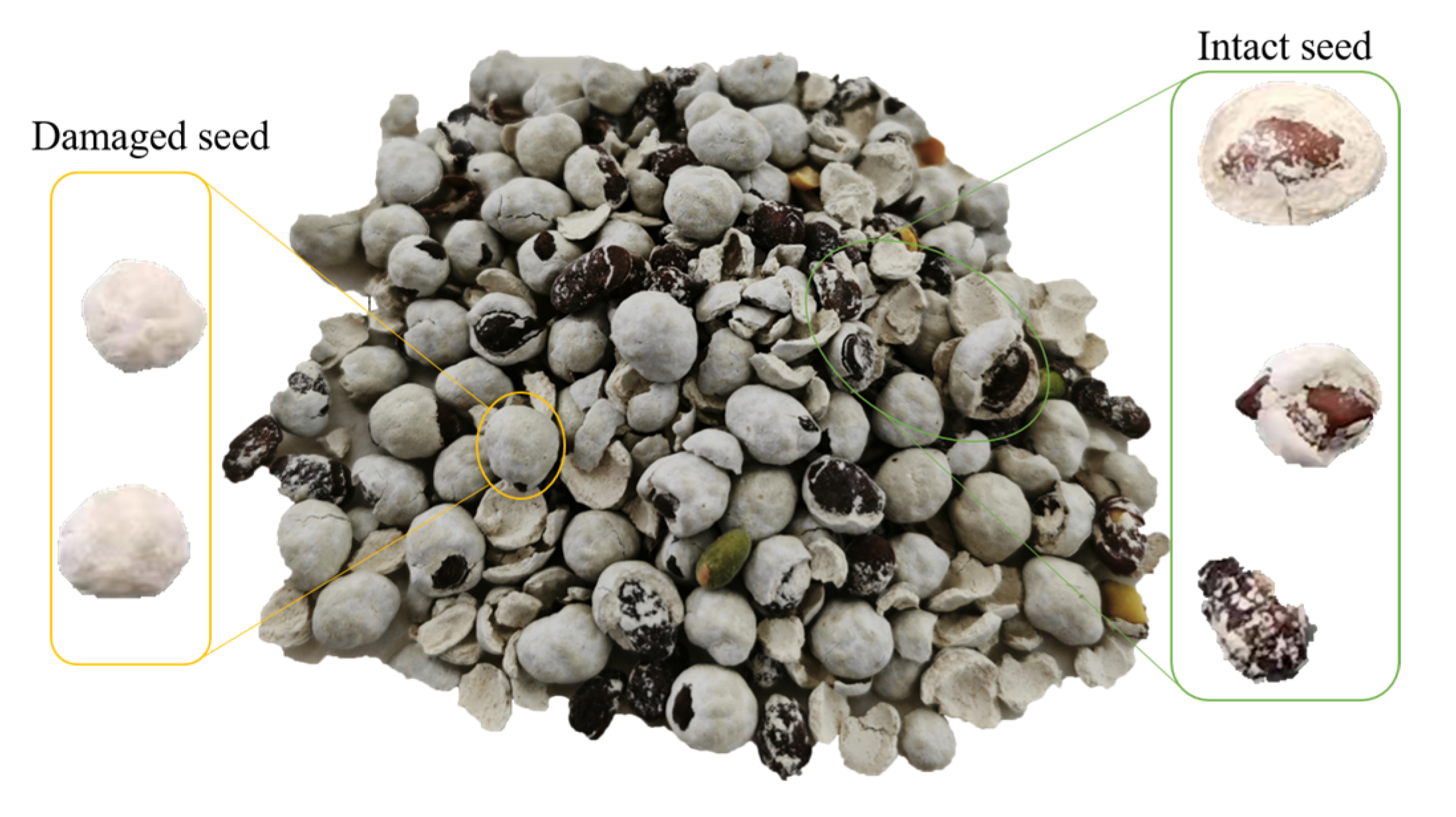 Coatings 15 00387 g012