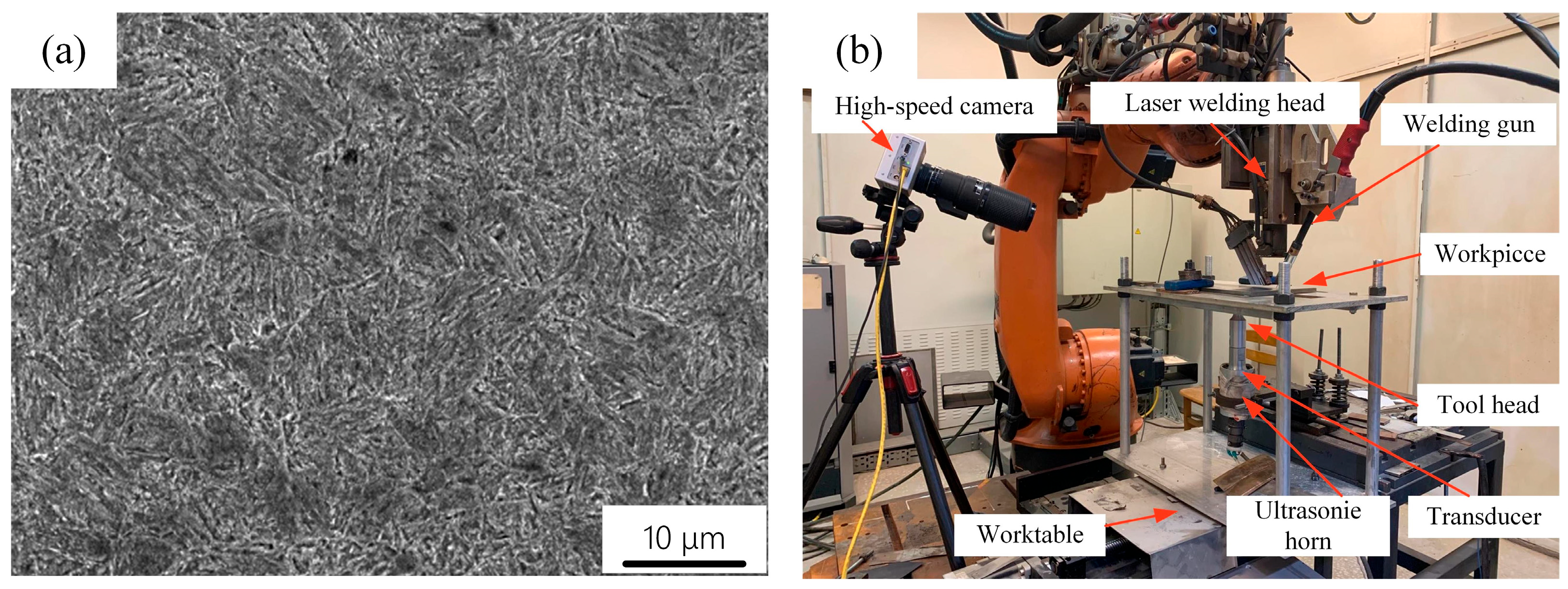 Coatings 15 00389 g001