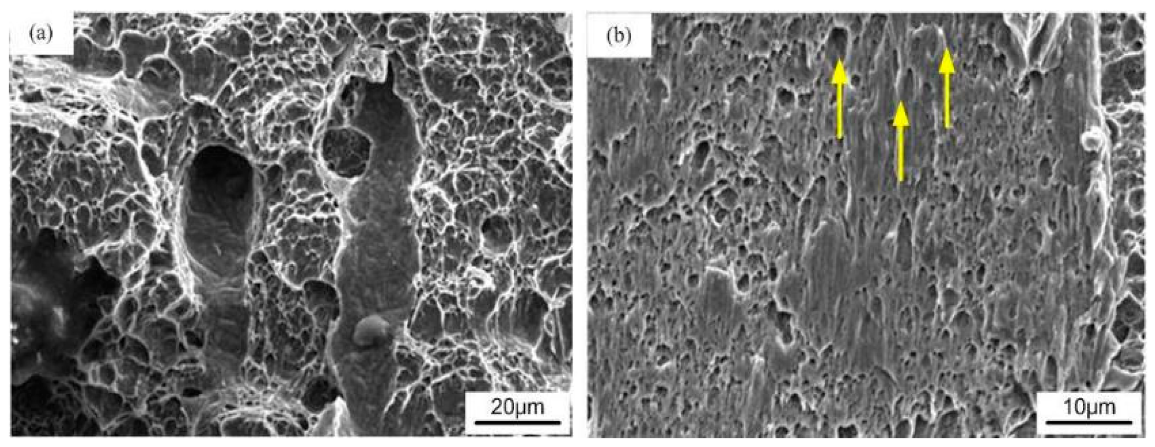 Coatings 15 00389 g009