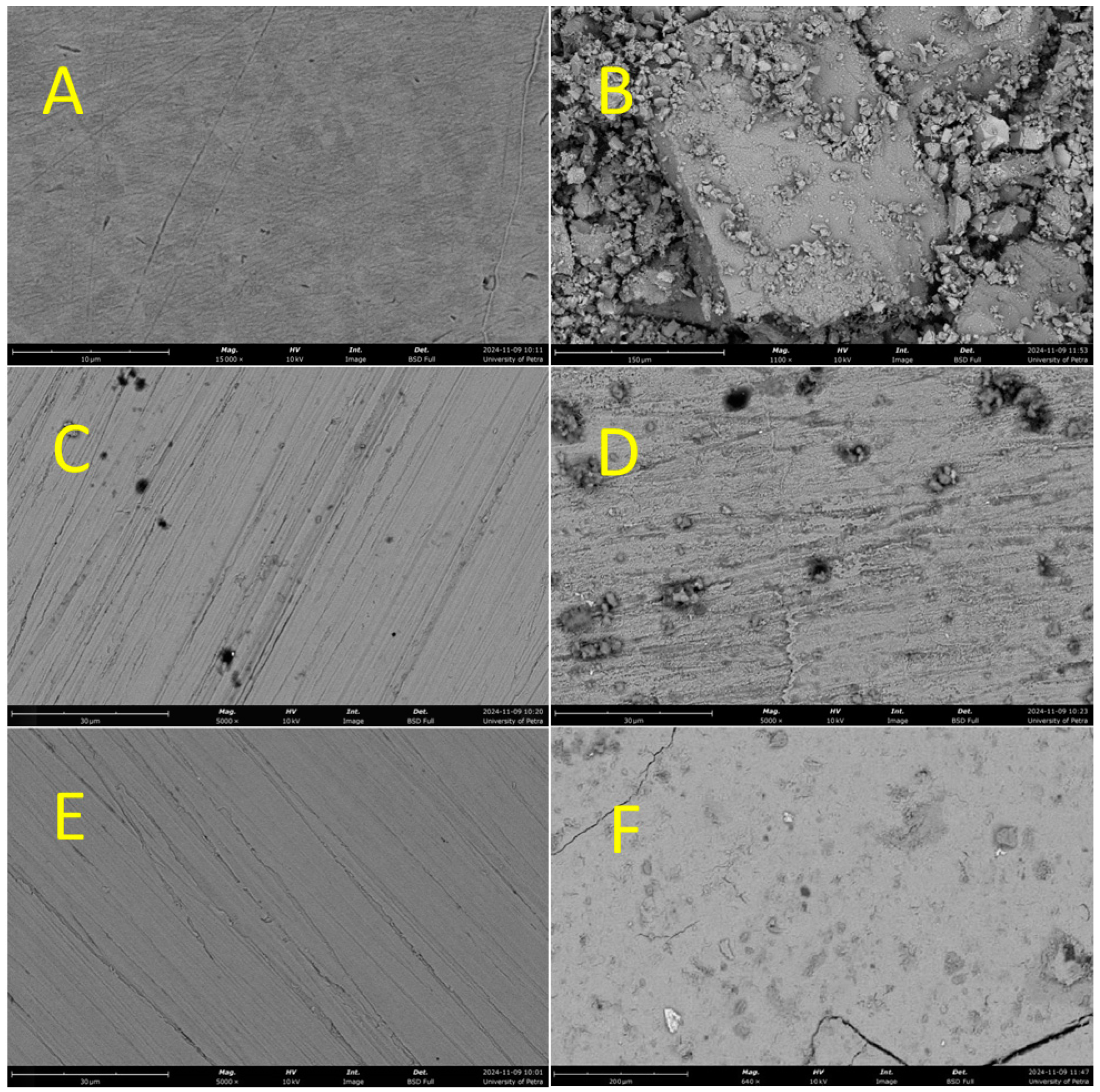 Coatings 15 00390 g003