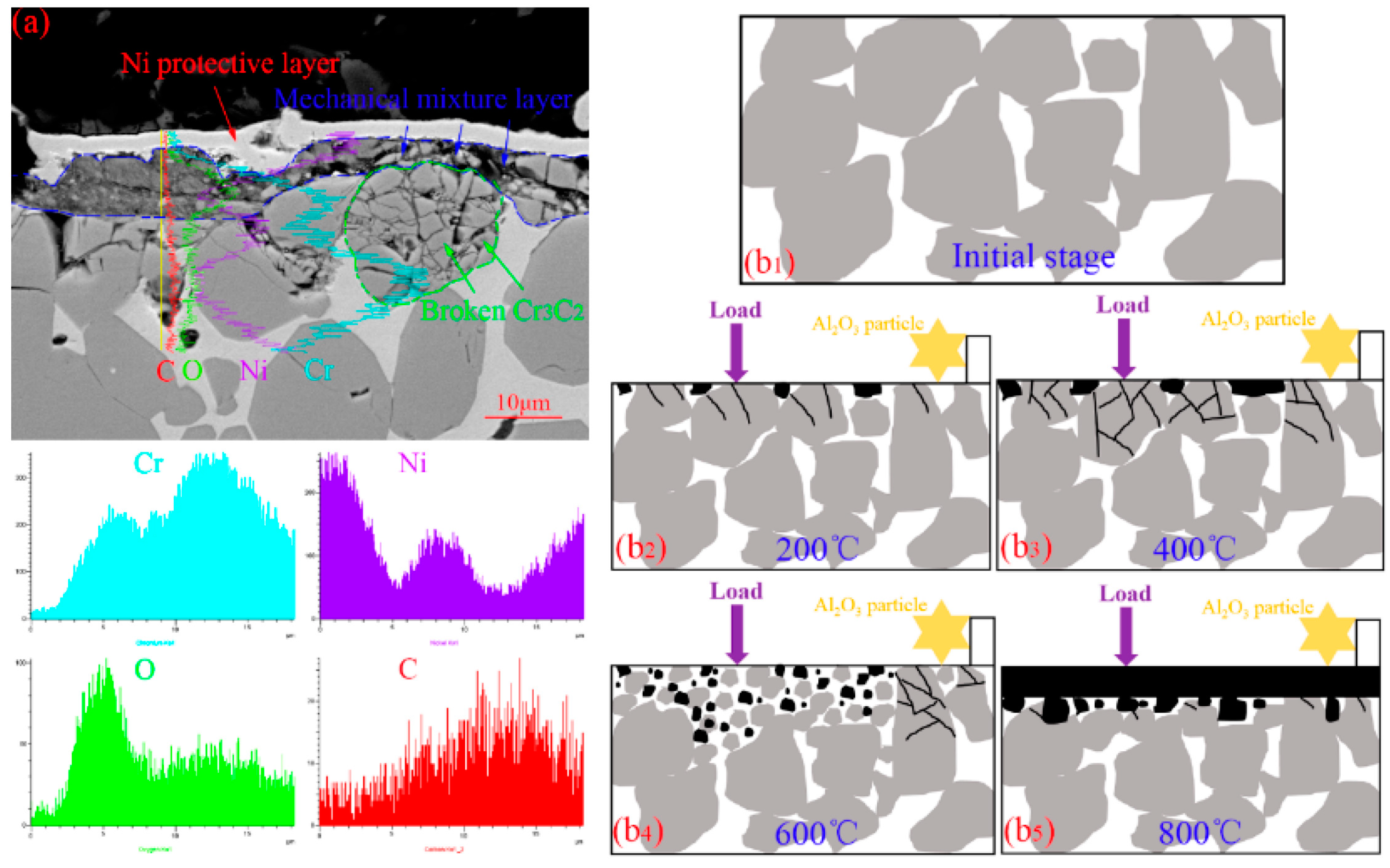 Coatings 15 00393 g001 Coatings 15 00393 g001
