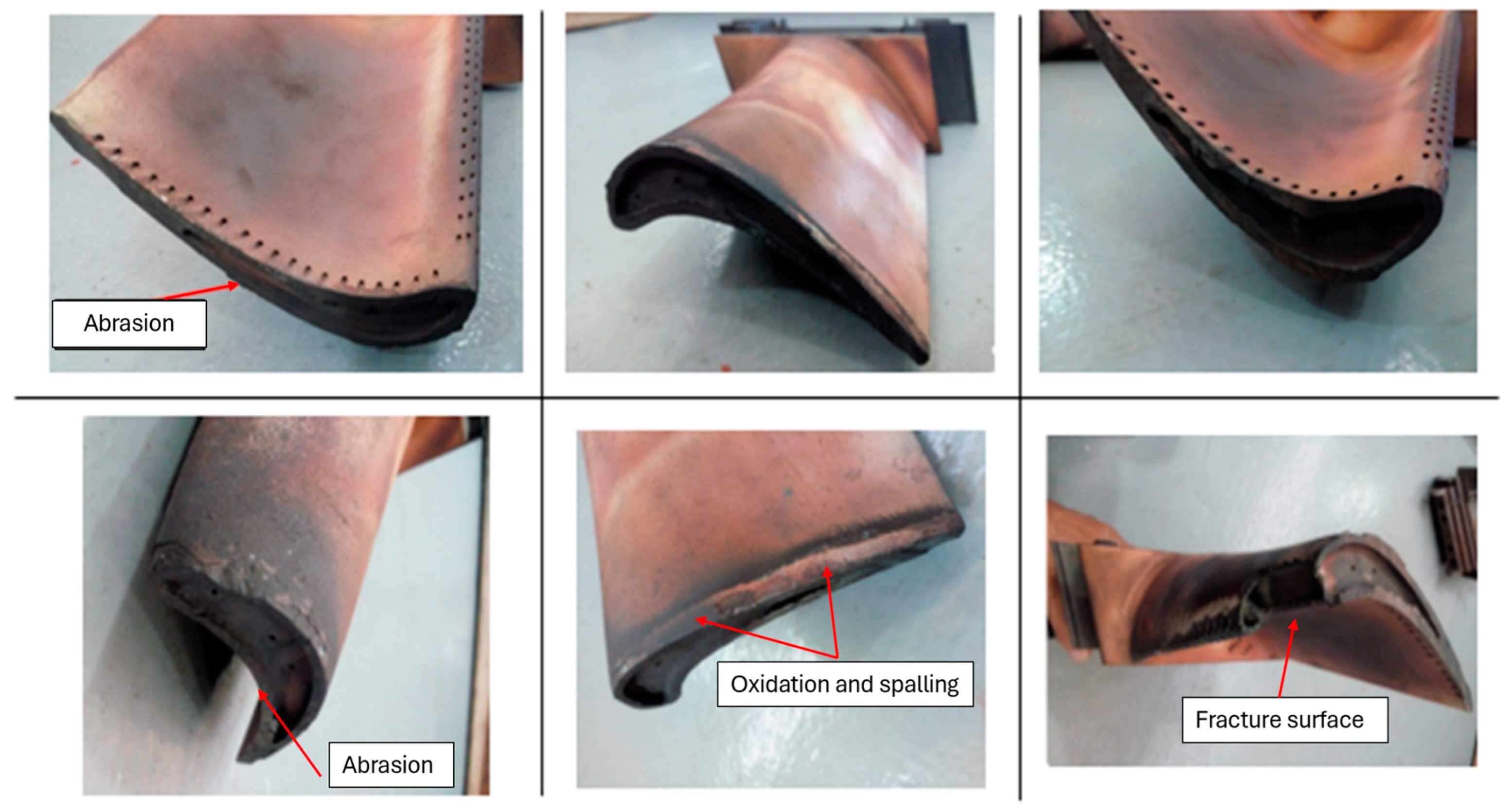 Coatings 15 00410 g001