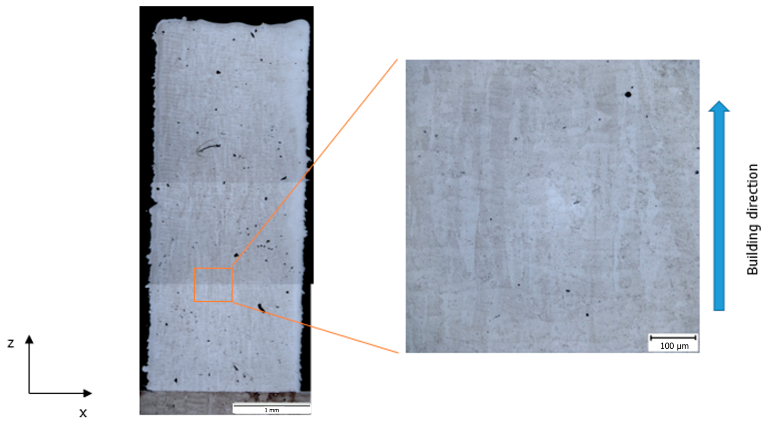 Coatings 15 00410 g014