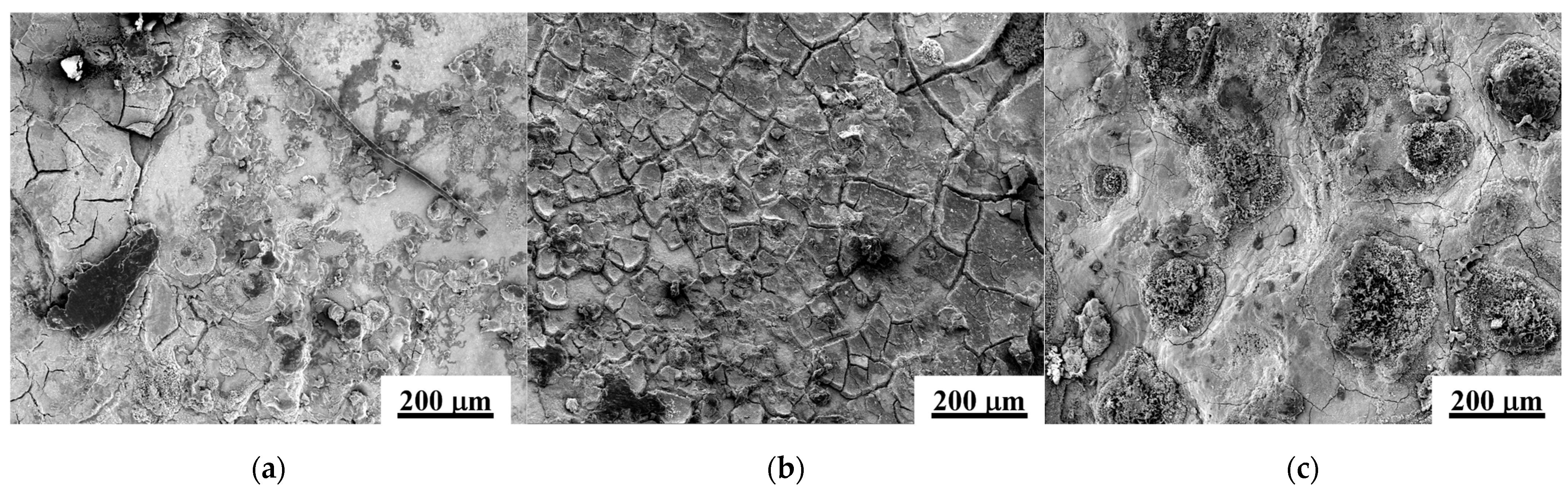 Coatings 15 00413 g006a