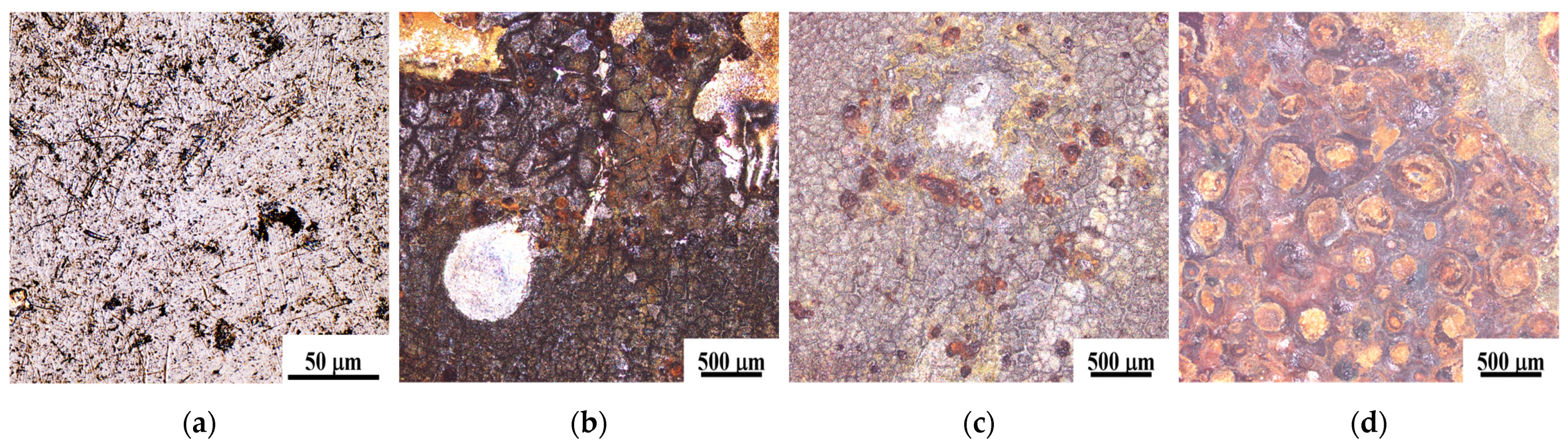 Coatings 15 00413 g007a