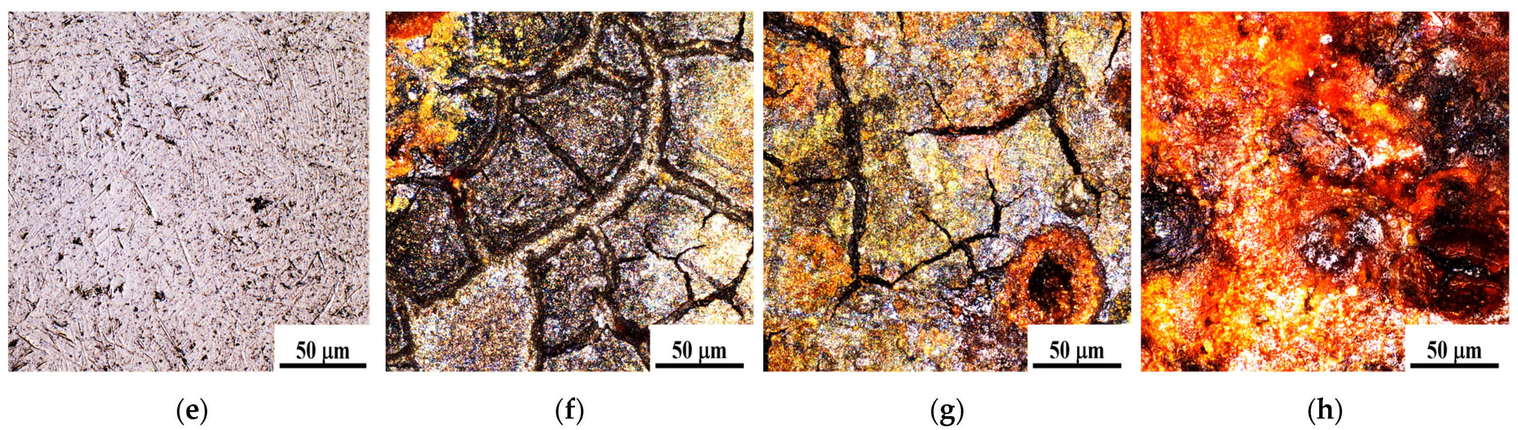 Coatings 15 00413 g007b