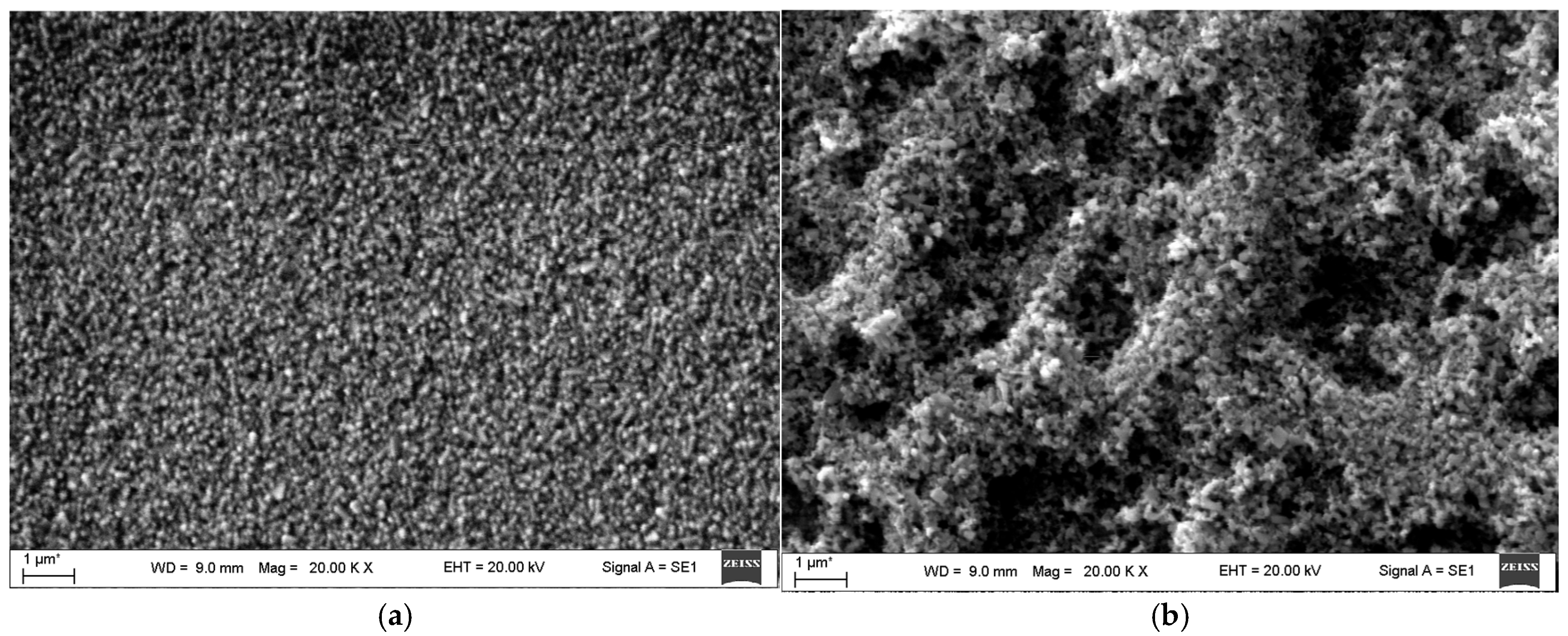 Coatings 15 00415 g004a