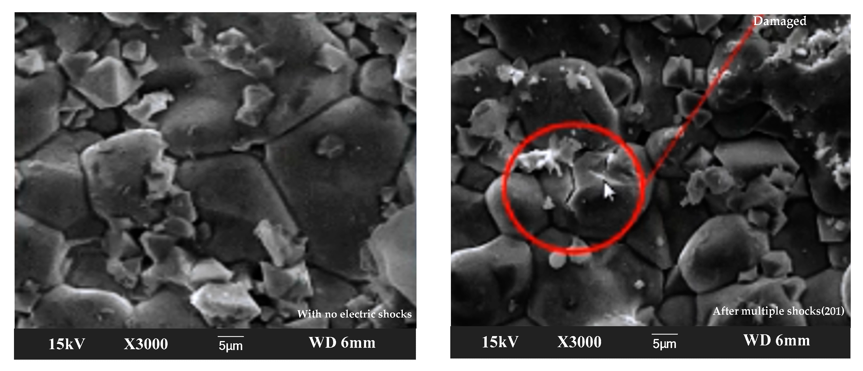 Coatings 15 00417 g013