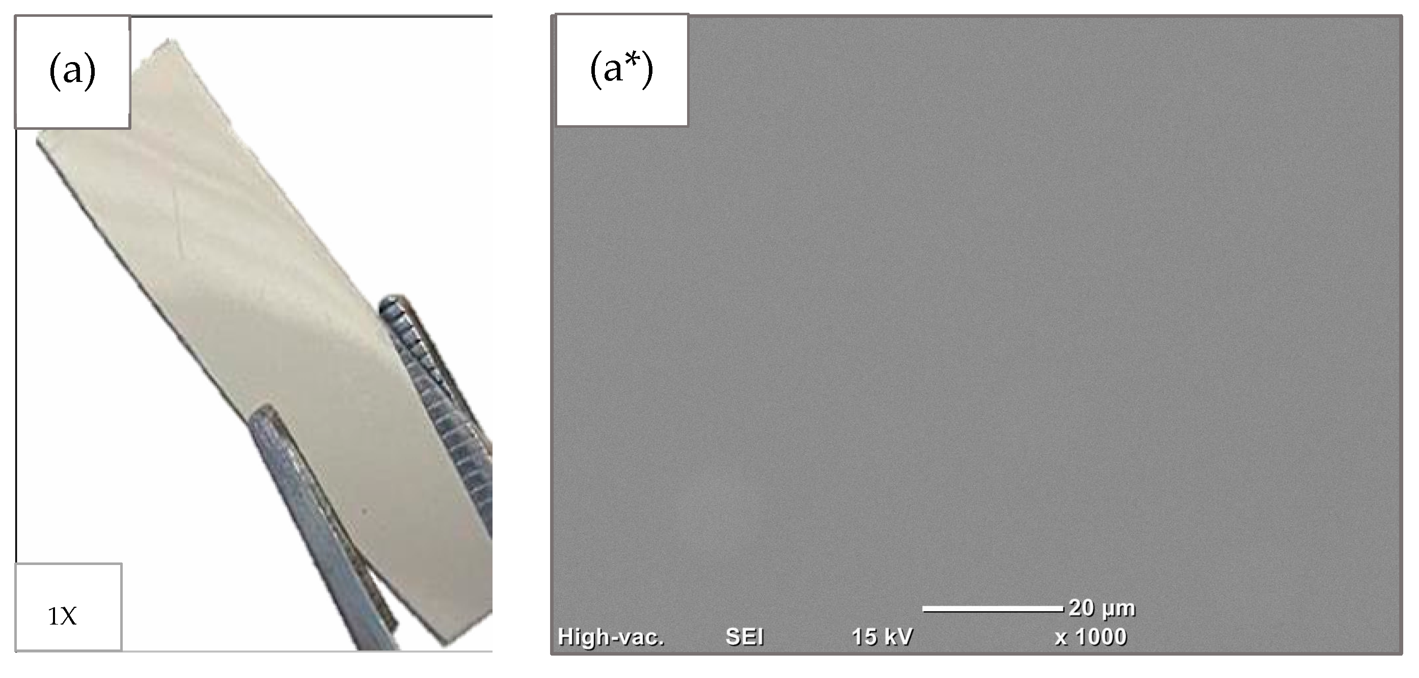 Coatings 15 00421 g002a