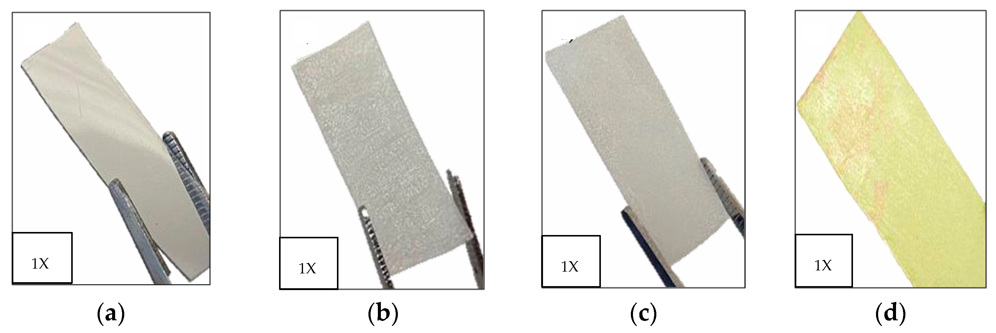 Coatings 15 00421 g005
