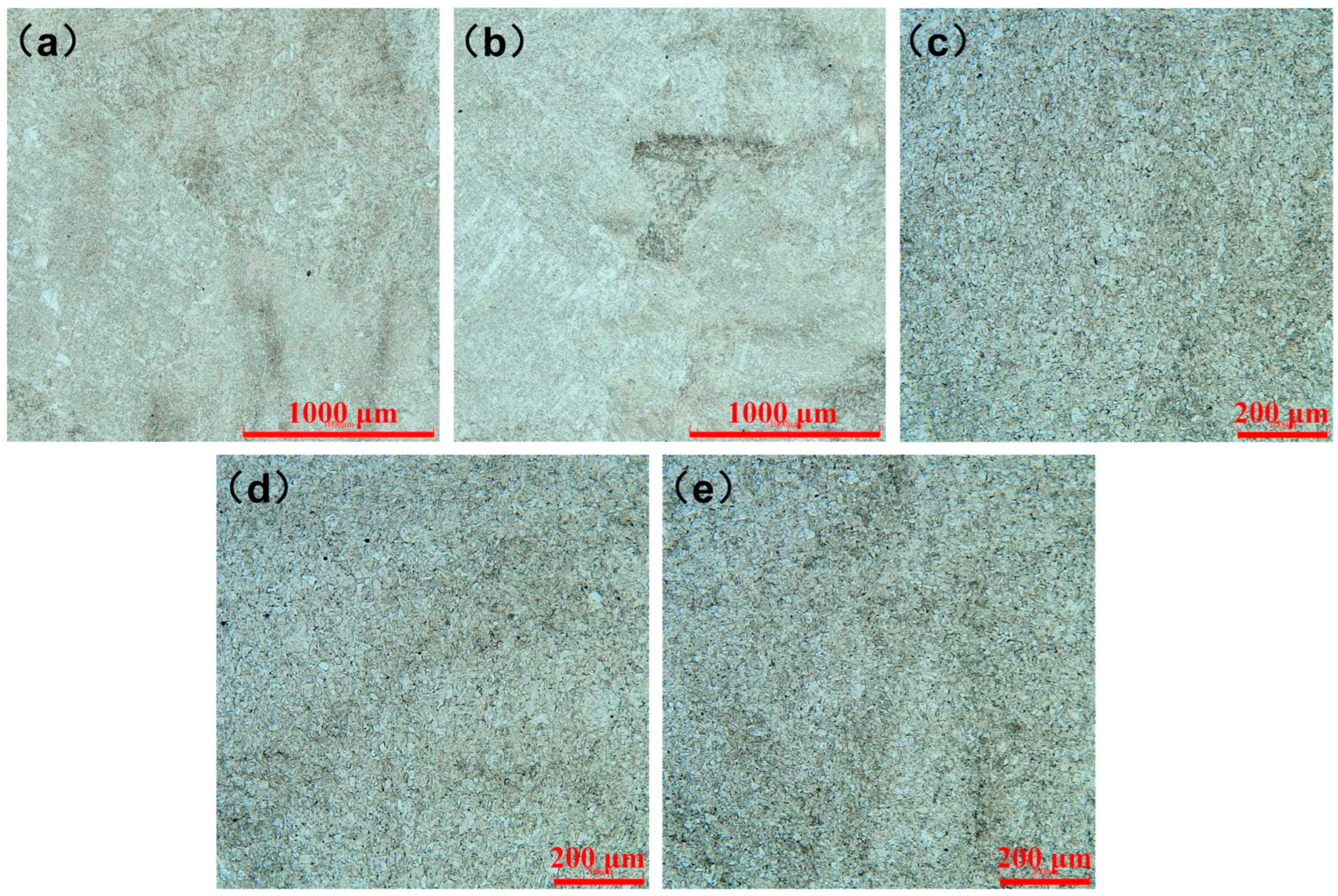 Coatings 15 00423 g004