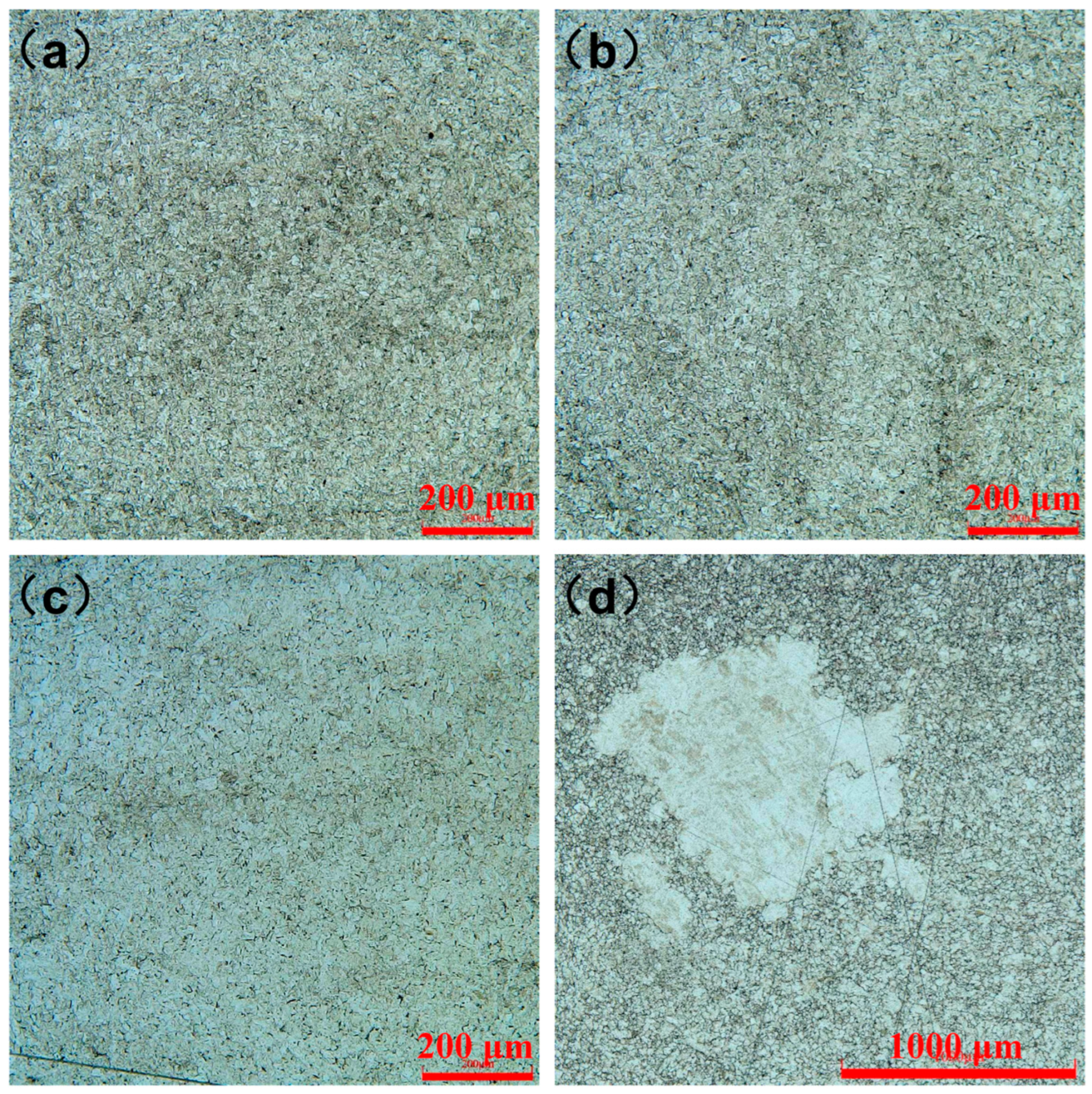 Coatings 15 00423 g005