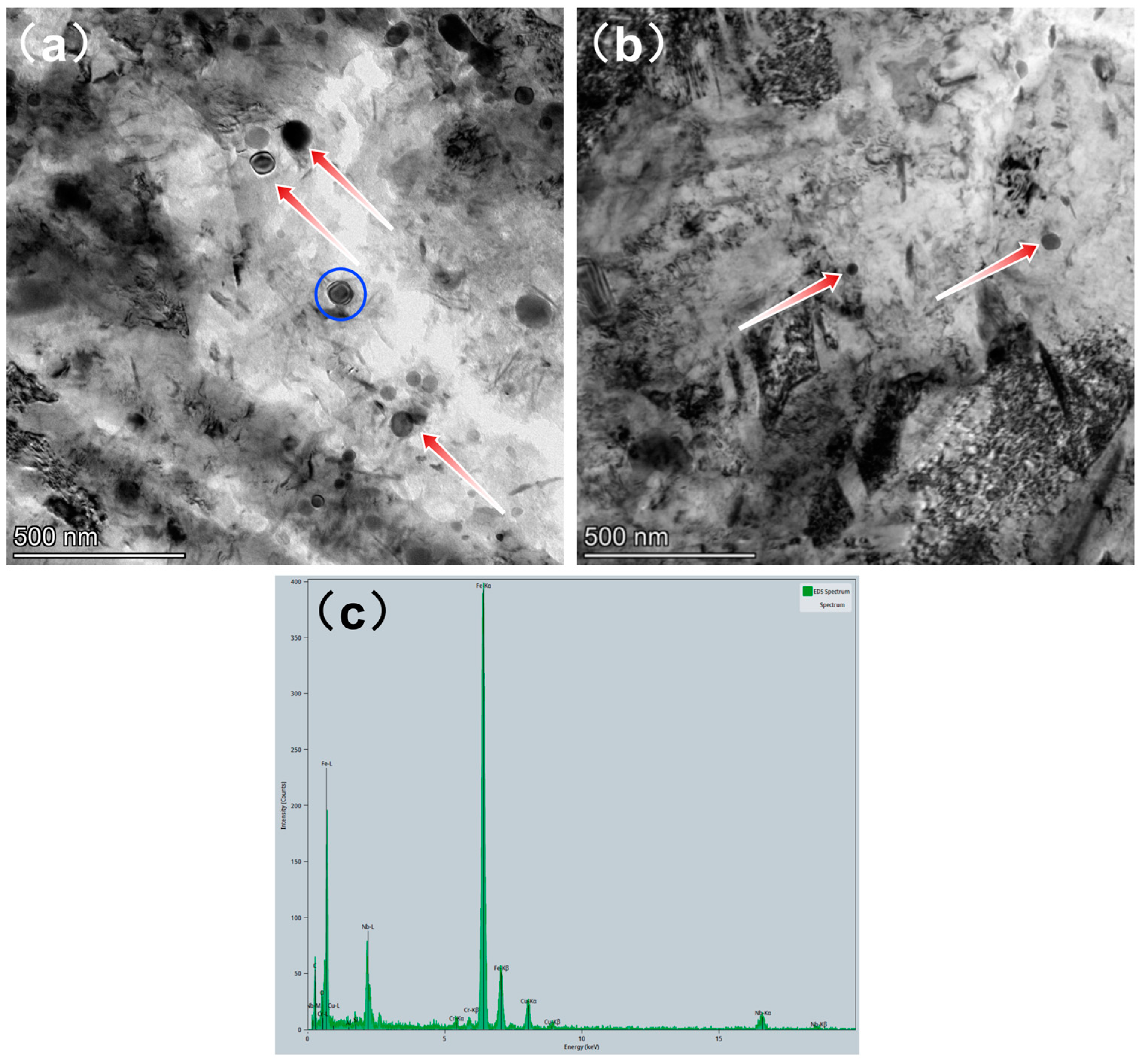 Coatings 15 00423 g006