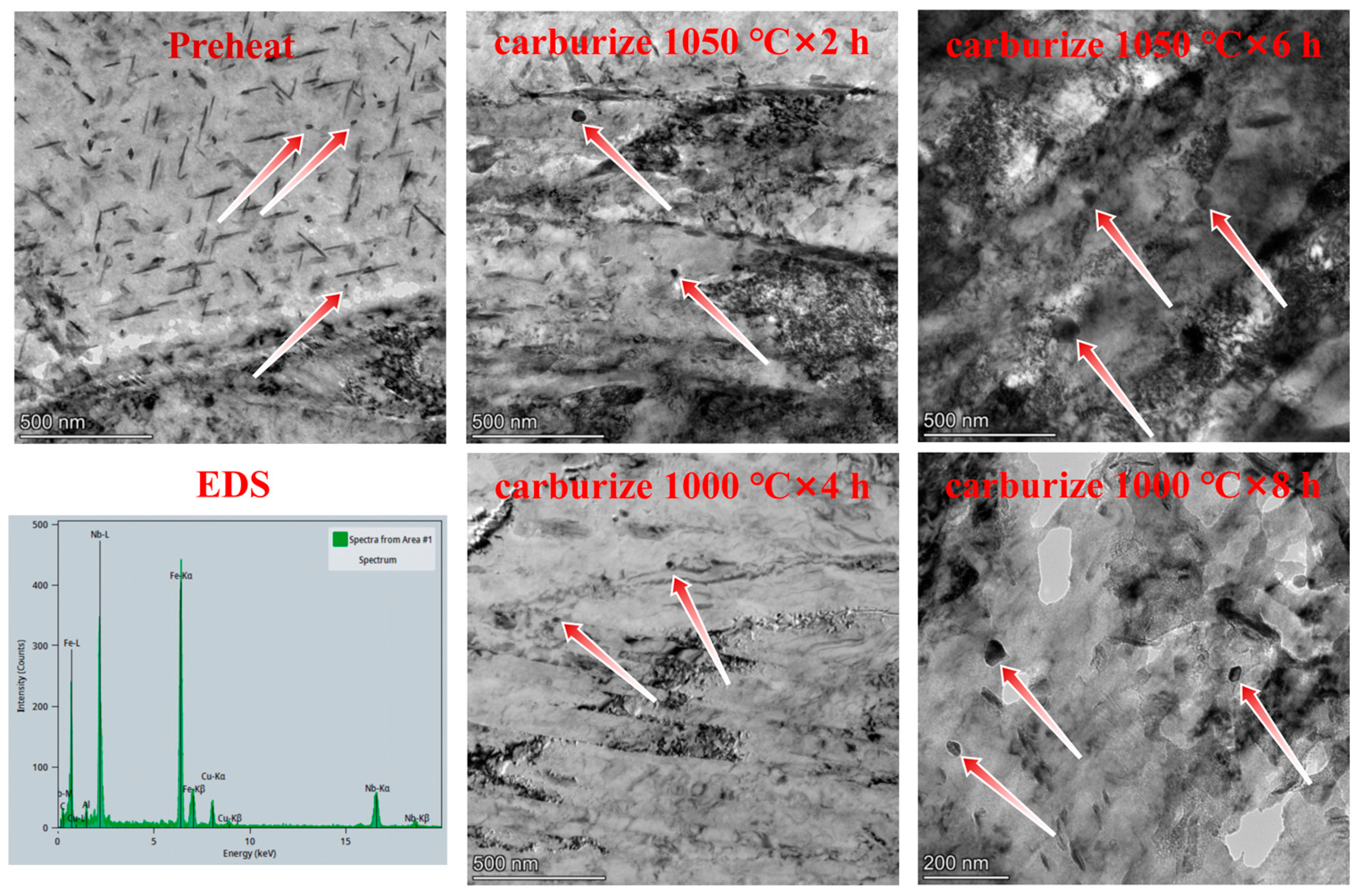 Coatings 15 00423 g007