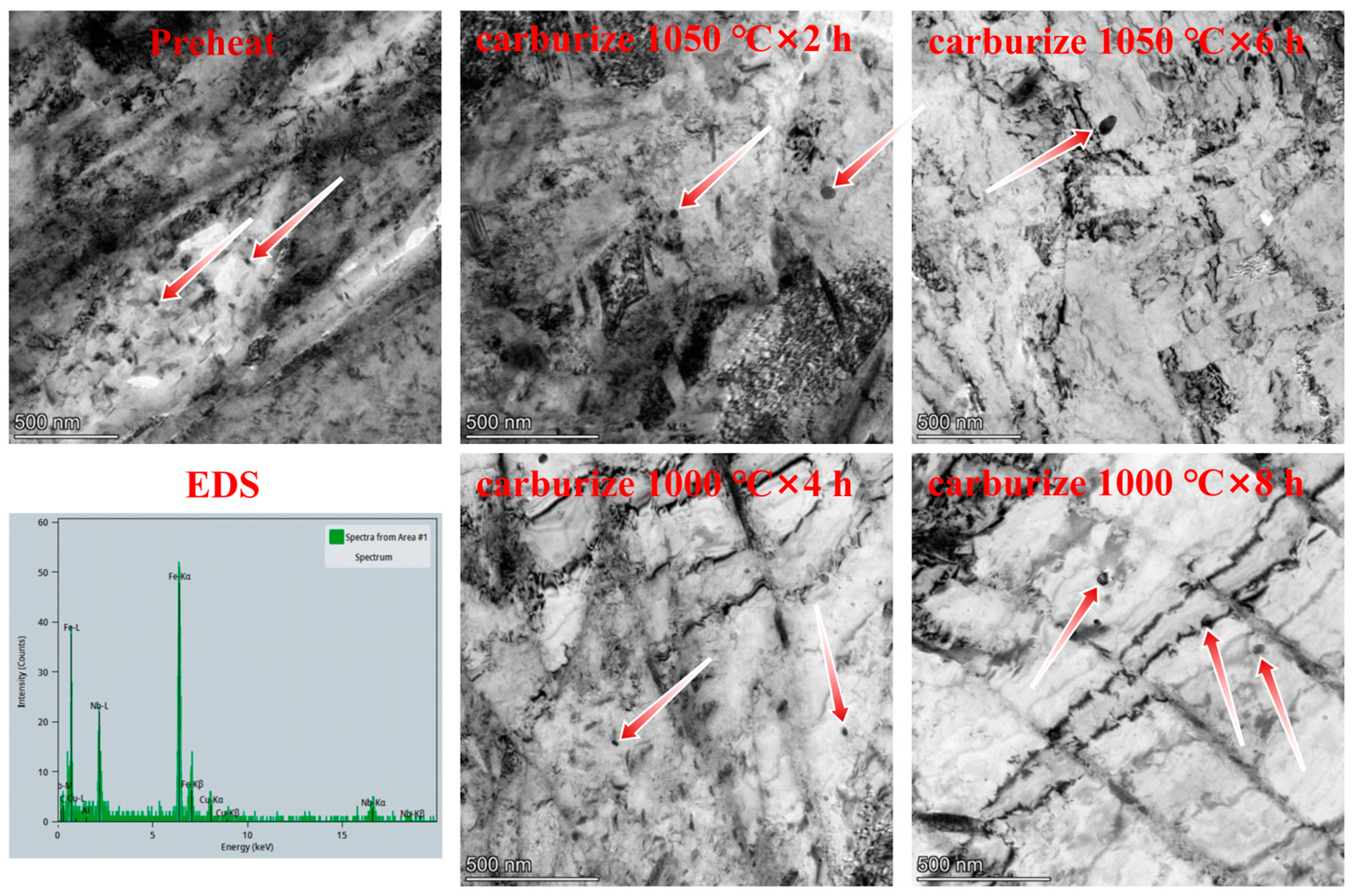 Coatings 15 00423 g008