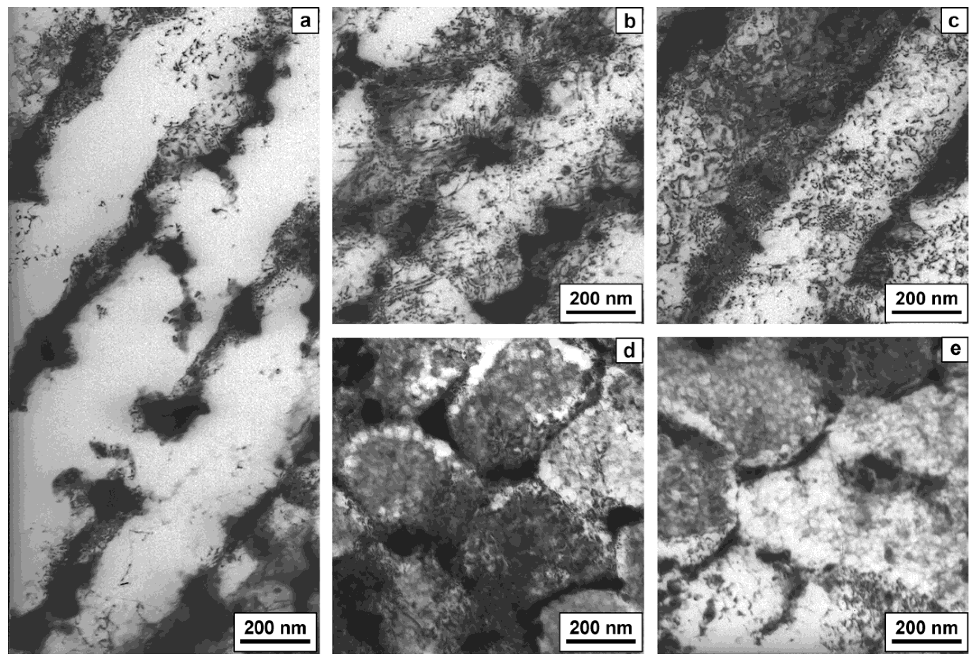 Coatings 15 00425 g007