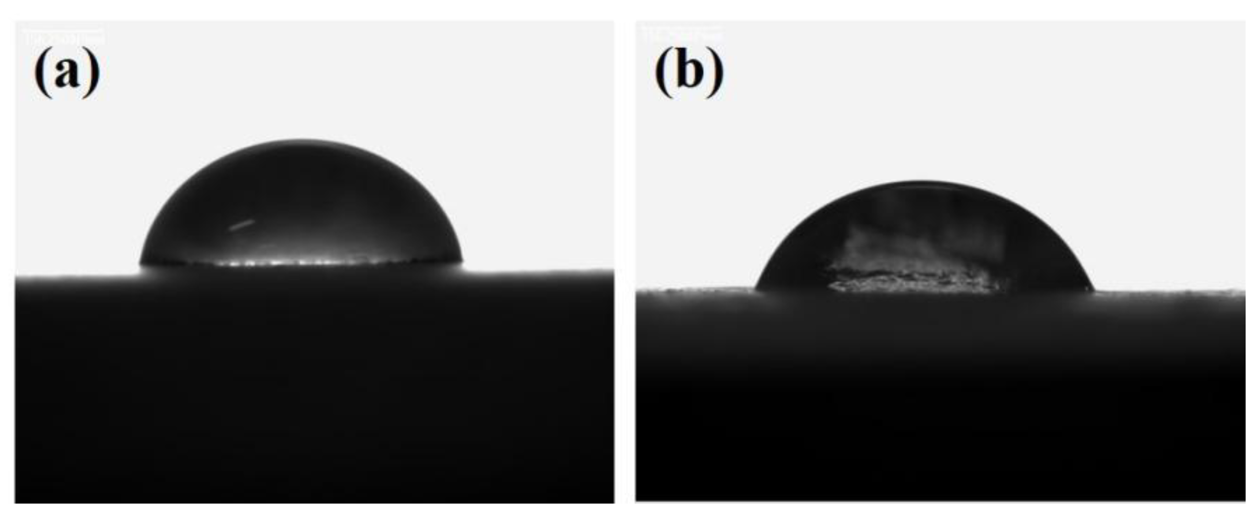 Coatings 15 00428 g003