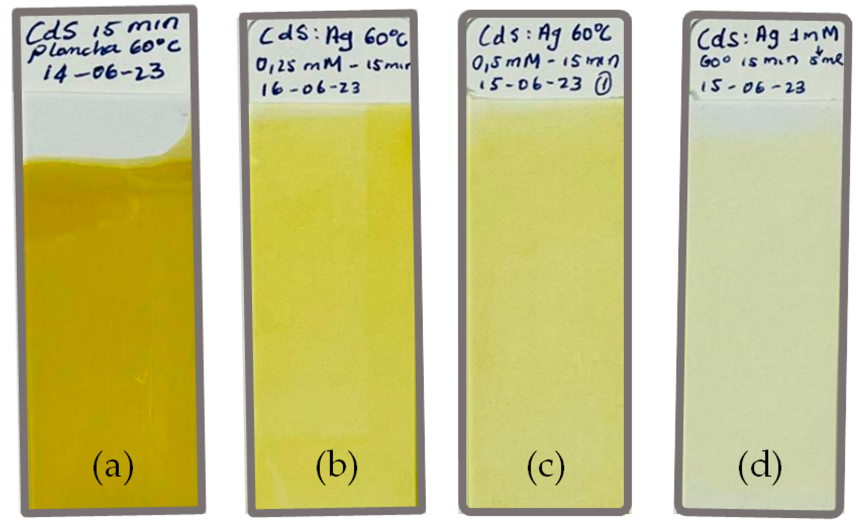 Coatings 15 00431 g002