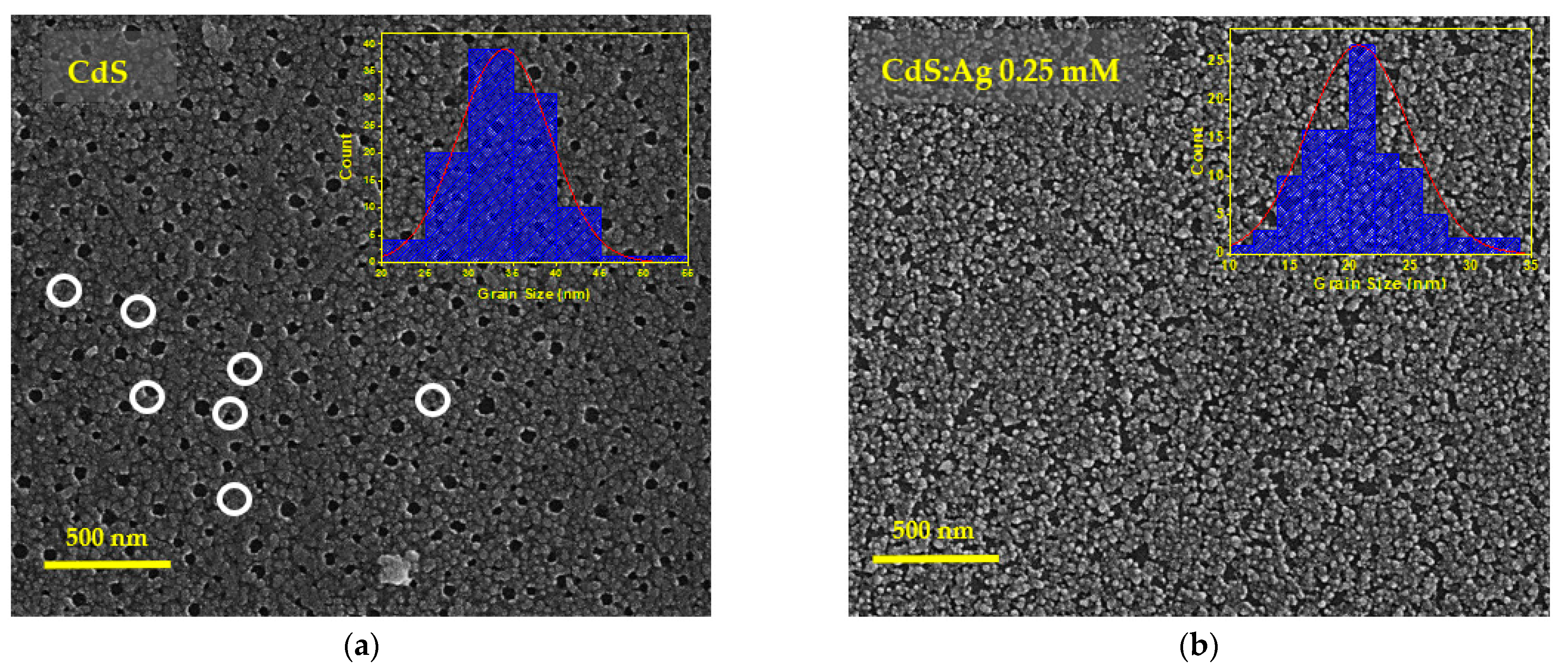 Coatings 15 00431 g006a