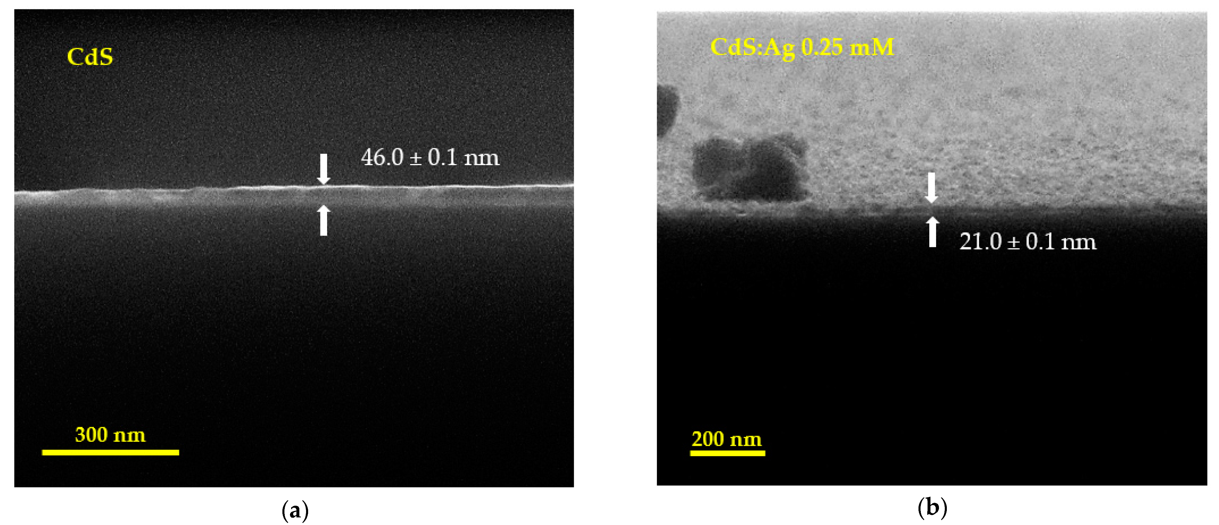 Coatings 15 00431 g007