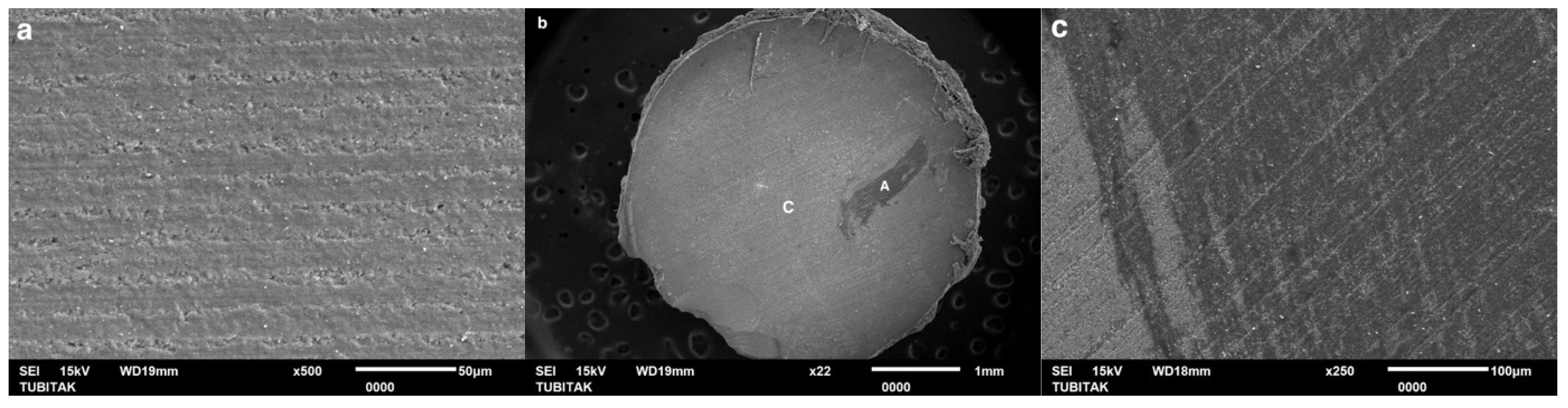 Coatings 15 00432 g004