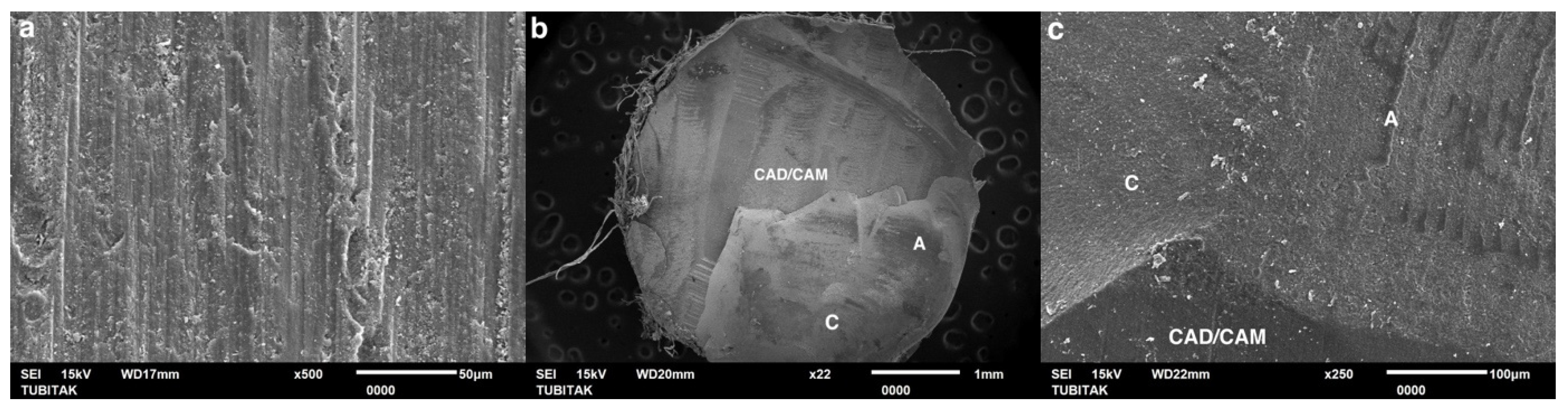 Coatings 15 00432 g005